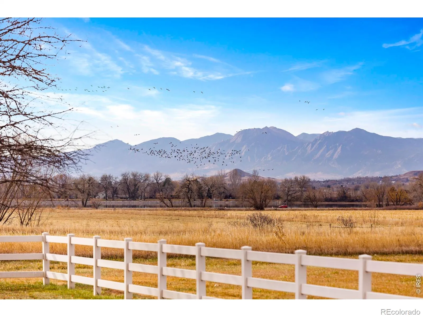 13155 N 75th Street Longmont CO 80503 | MLS #RECIR1048314 04132026142132 1600 4