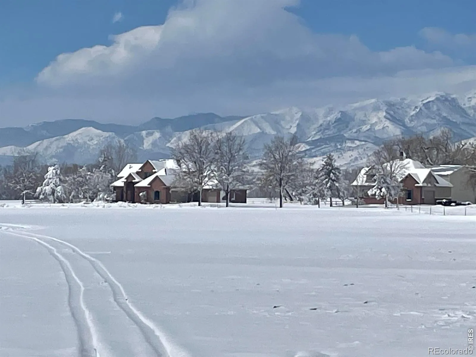 13155 N 75th Street Longmont CO 80503 | MLS #RECIR1048314 04132026142132 1600 47