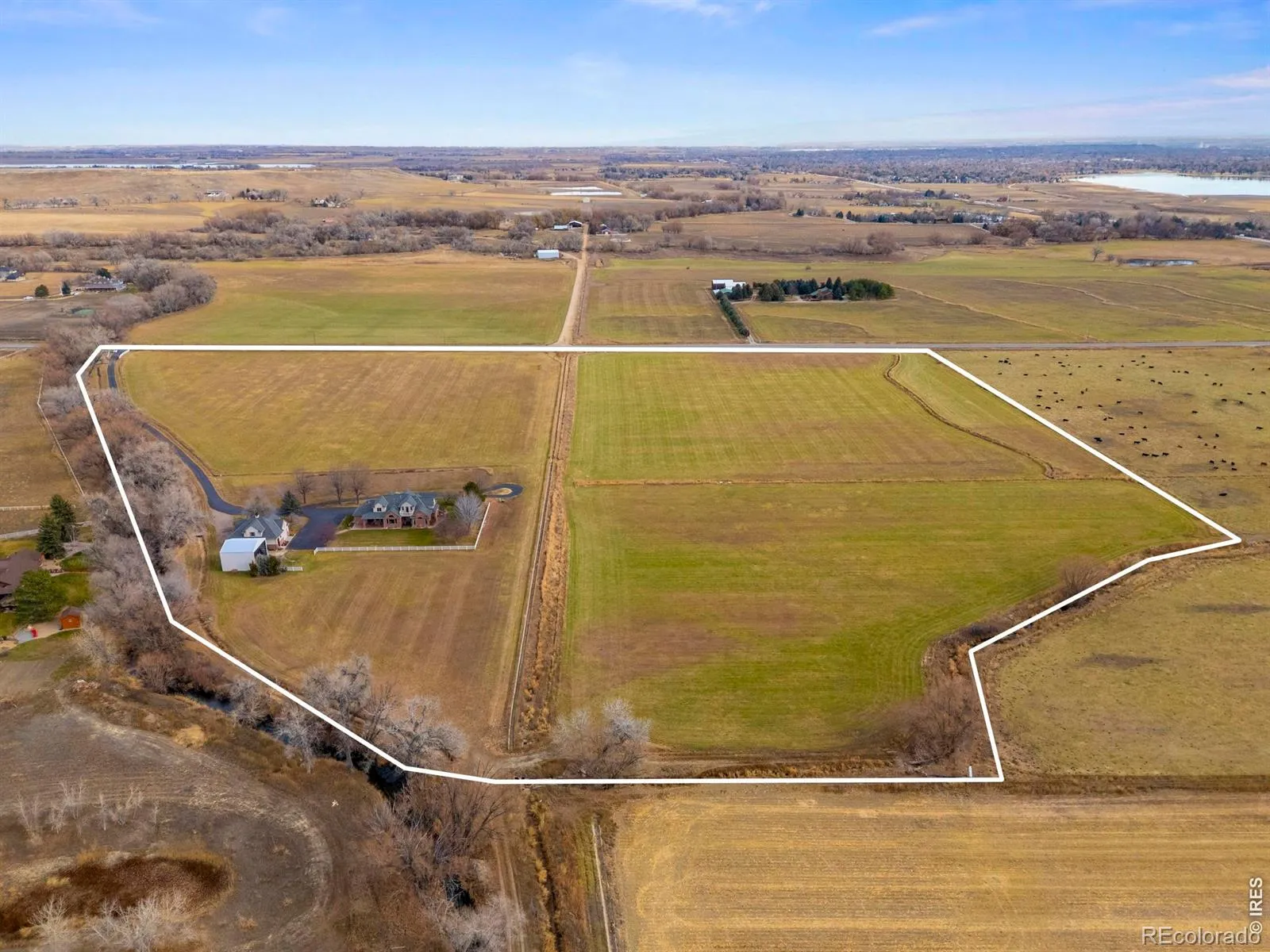 13155 N 75th Street Longmont CO 80503 | MLS #RECIR1048314 04132026142132 1600 48