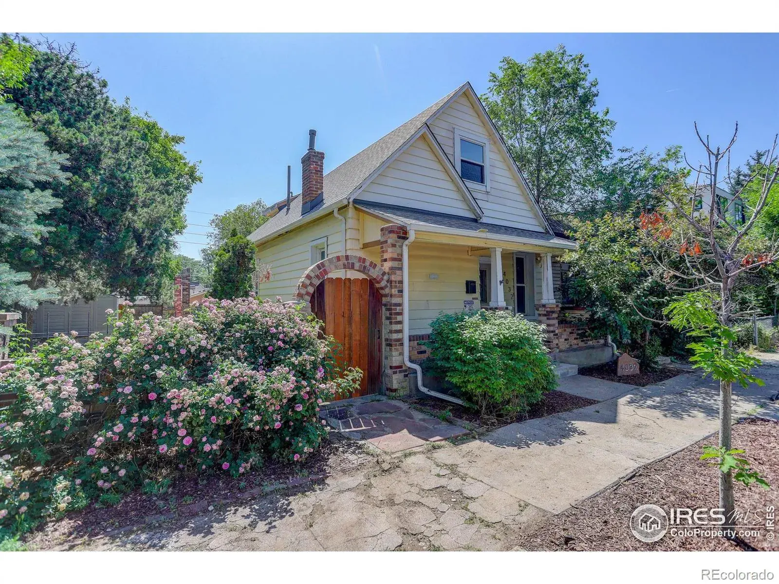 12312025010111 1600 1