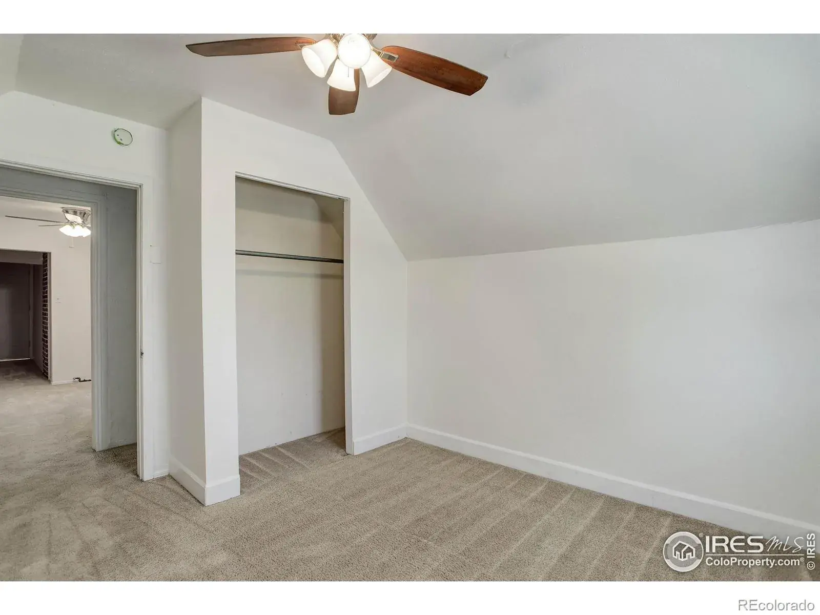 12312025010111 1600 29