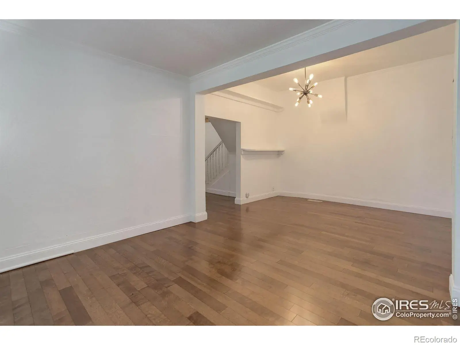 12312025010111 1600 8