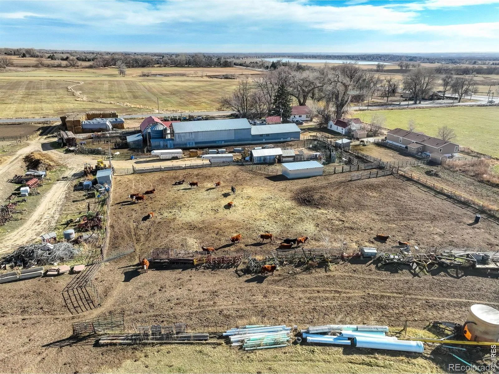 12745 N 75th Street Longmont CO 80503 | MLS #RECIR1048793 06092026161225 1600 44