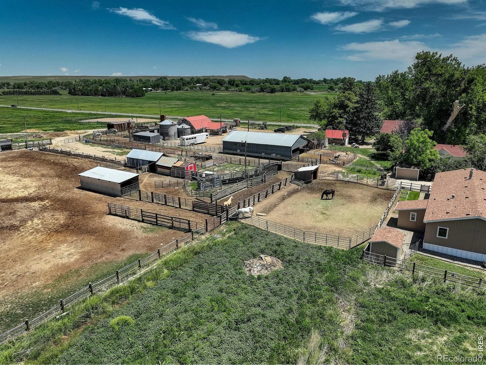 12745 N 75th Street Longmont CO 80503 | MLS #RECIR1048793 06092026161225 1600 49