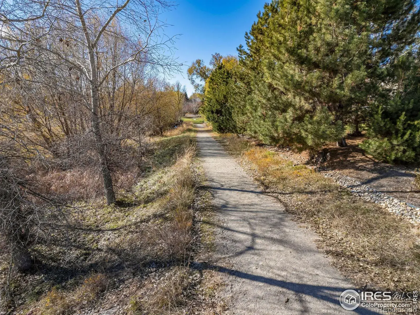 1531 Spring Creek Crossing Lafayette CO 80026 | MLS #RECIR1049089 02242026122512 1600 12
