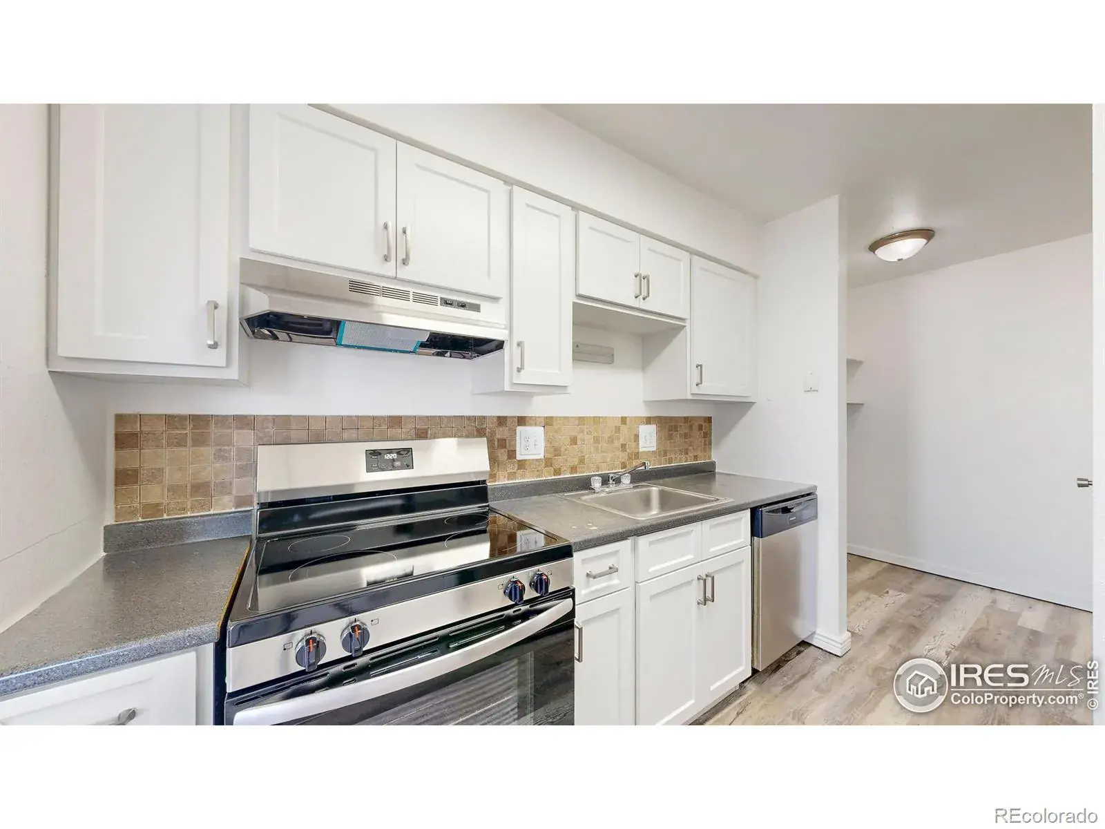 6975 Mariposa Street #D Denver CO 80221 | MLS #RECIR1049172 01082026233947 1600 13