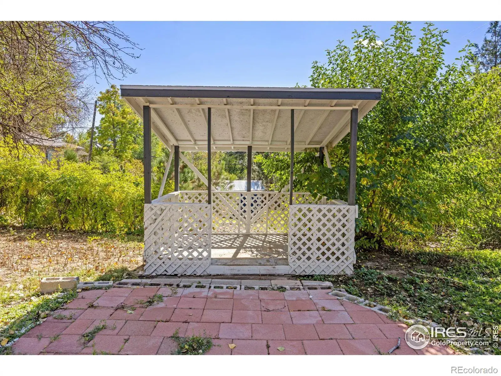 01082026195831 1600 31