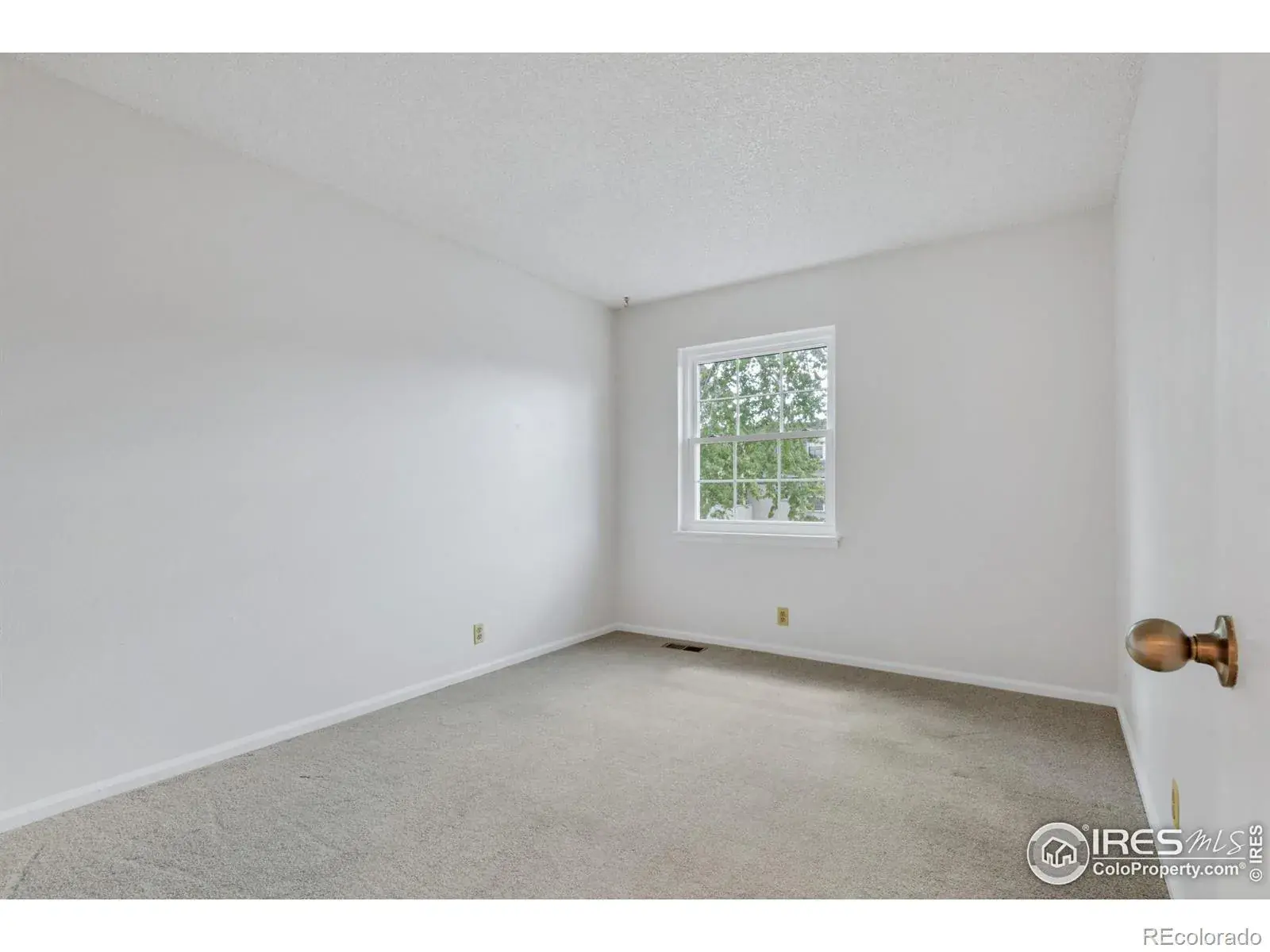 01172026015922 1600 19