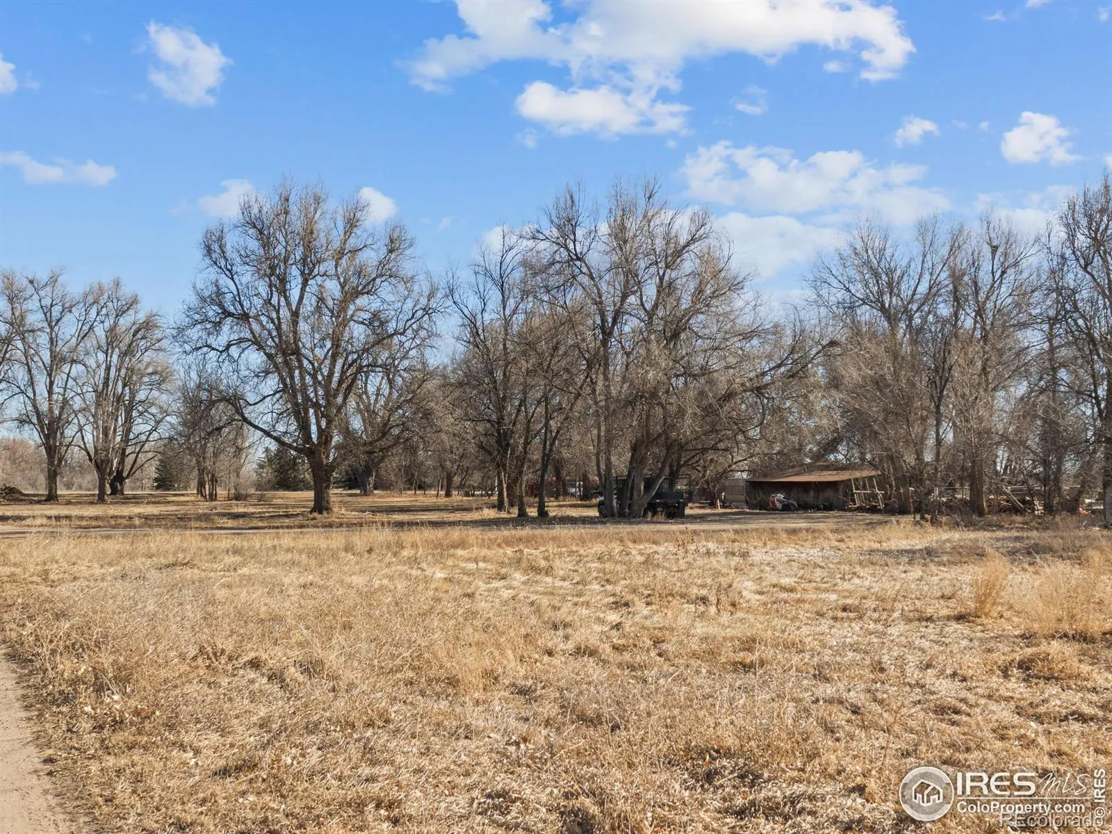 139 Hover Street Longmont CO 80501 | MLS #RECIR1049909 05012026181729 1600 11