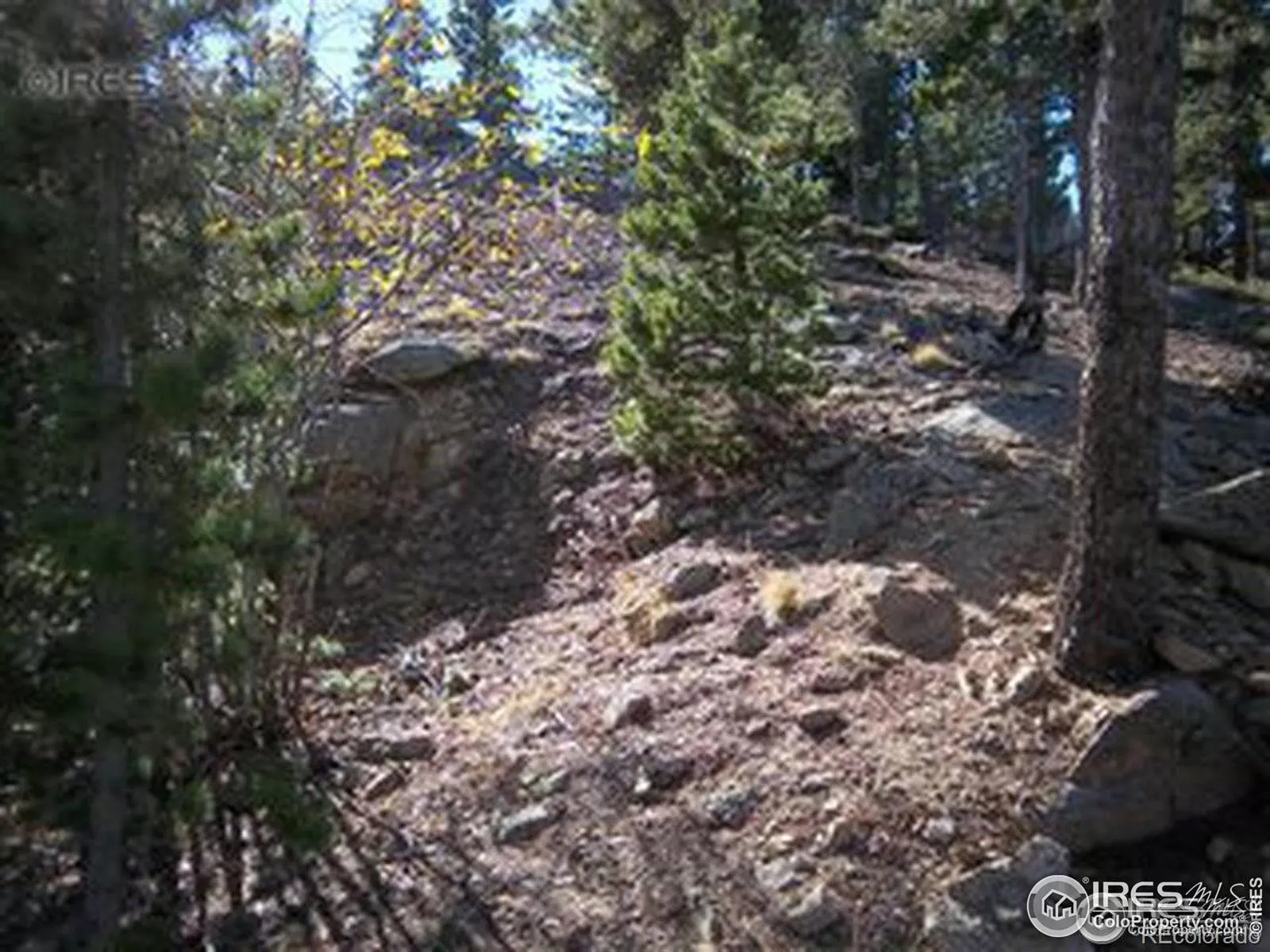 11717 Coal Creek Heights Drive Golden CO 80403 MLS #RECIR1050045 04132026073715 1600 2