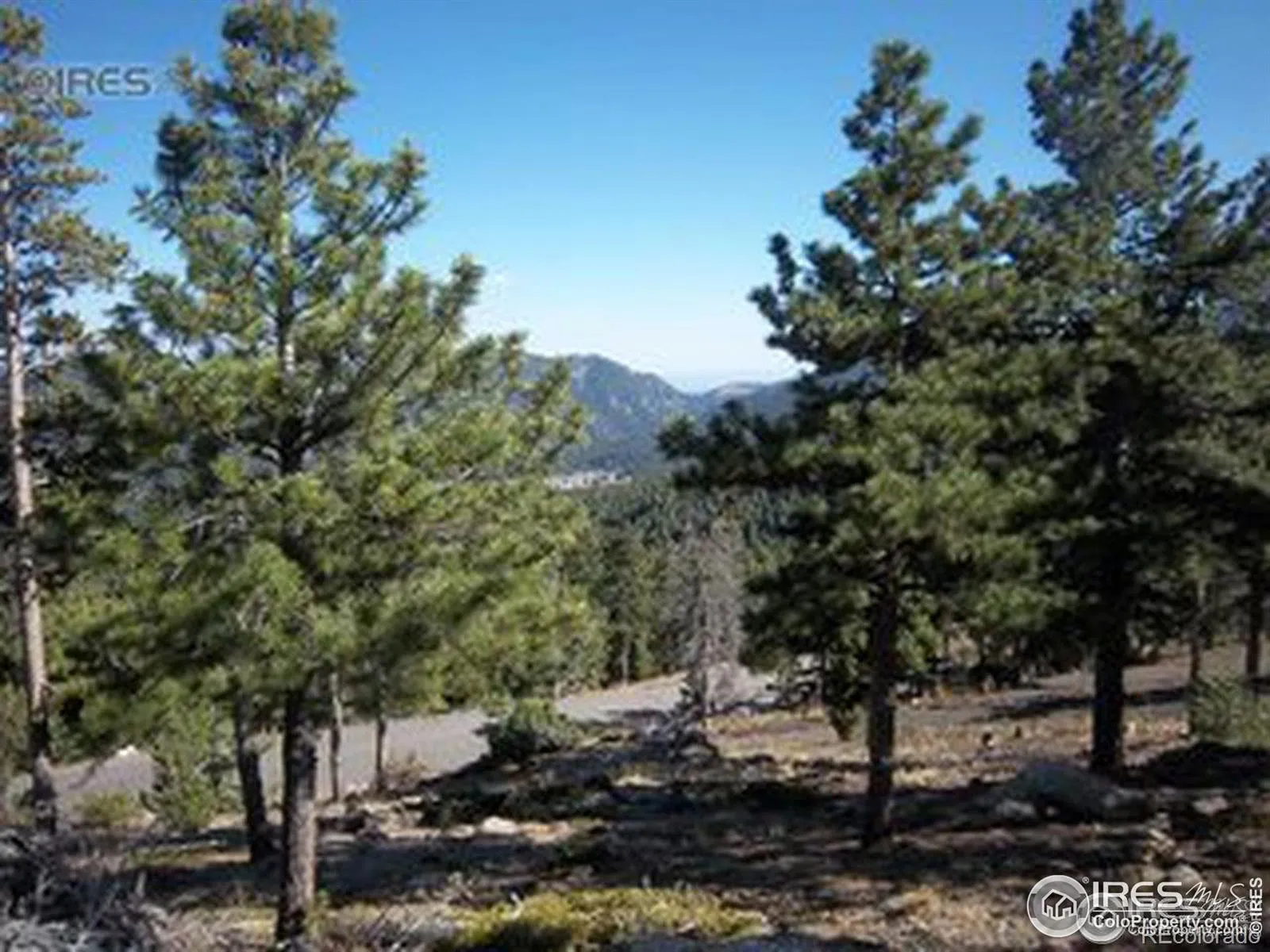 11717 Coal Creek Heights Drive Golden CO 80403 MLS #RECIR1050045 04132026073715 1600 3