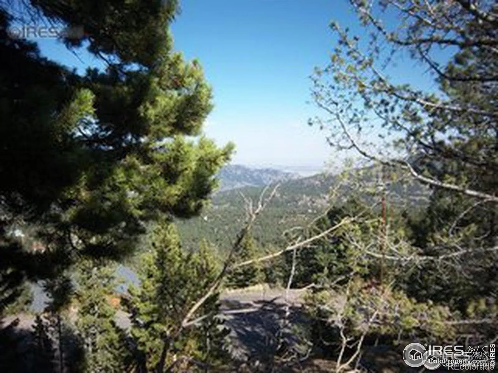 11717 Coal Creek Heights Drive Golden CO 80403 MLS #RECIR1050045 04132026073715 1600 4
