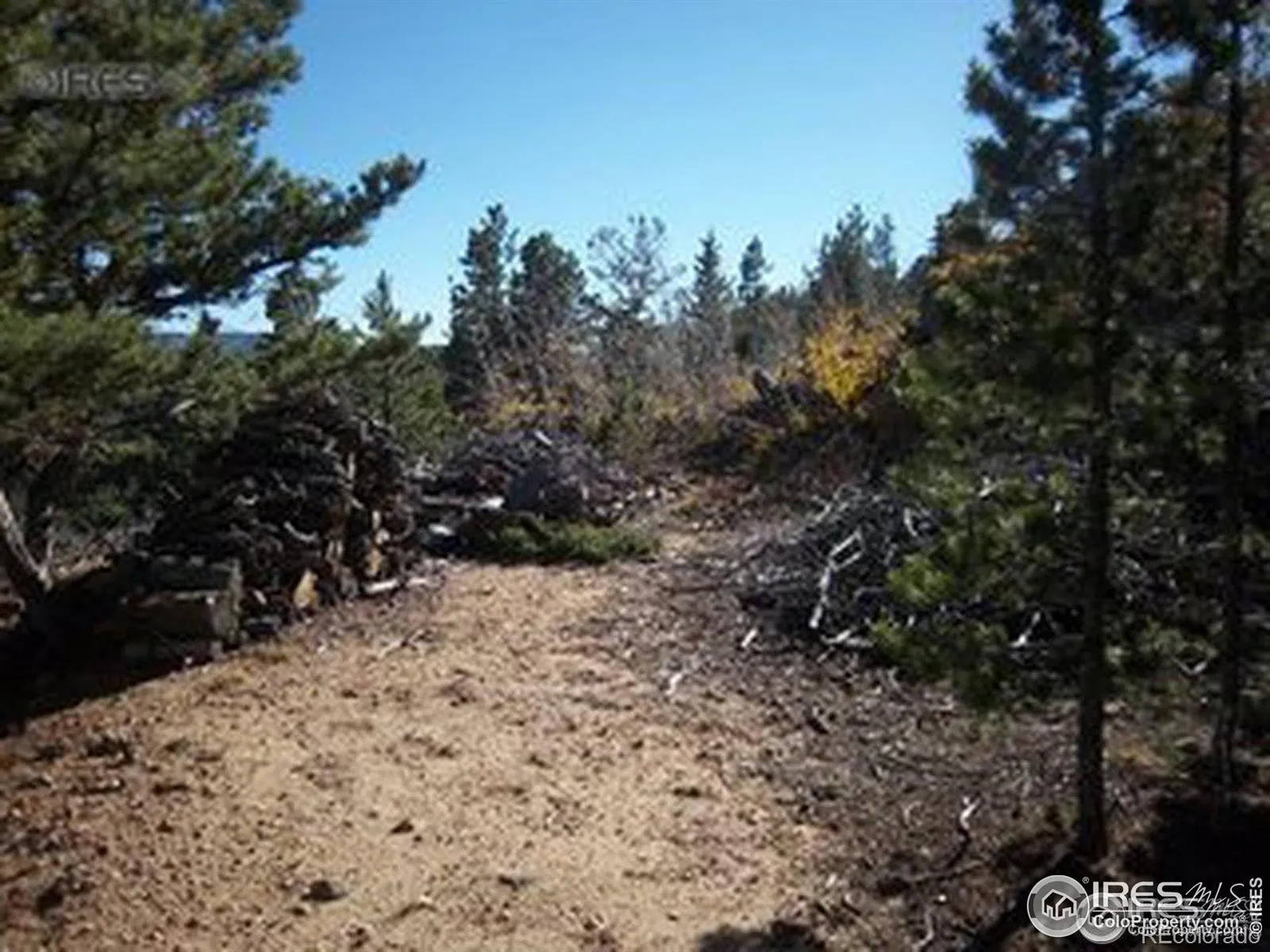 11717 Coal Creek Heights Drive Golden CO 80403 MLS #RECIR1050045 04132026073715 1600 5