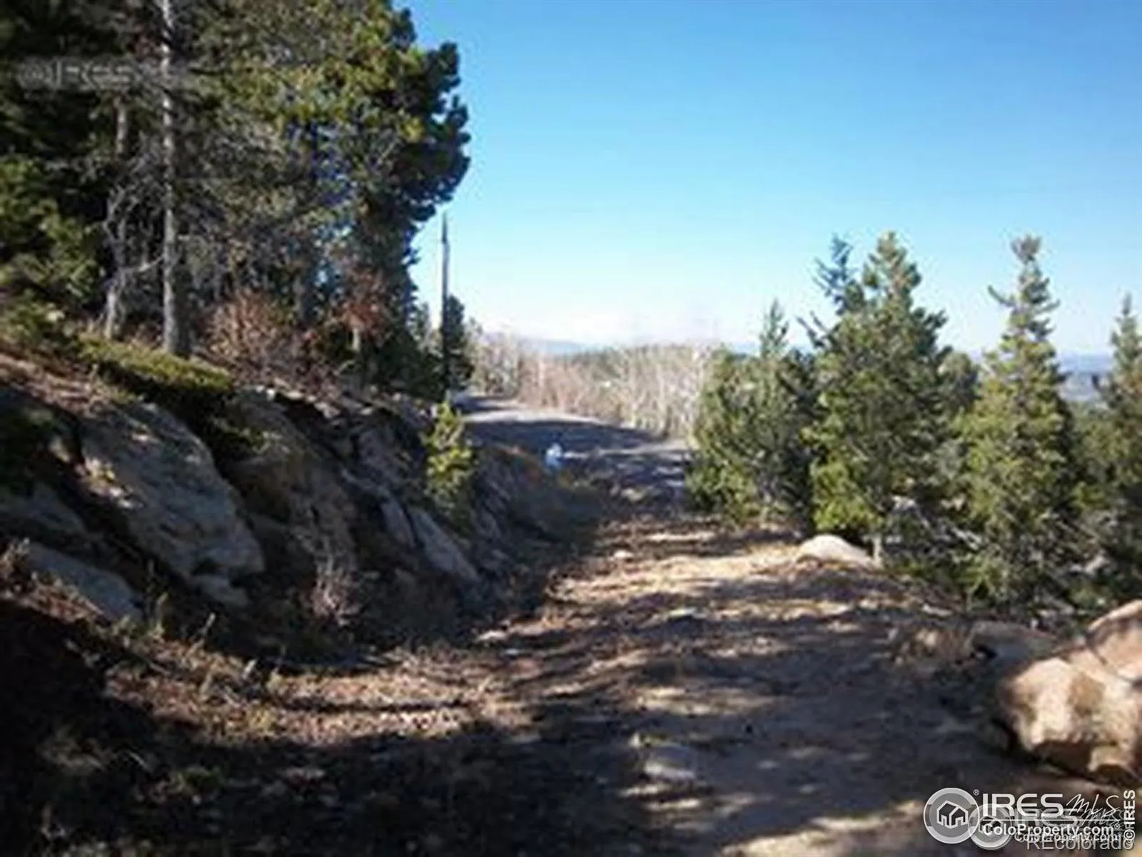 11717 Coal Creek Heights Drive Golden CO 80403 MLS #RECIR1050045 04132026073715 1600 6