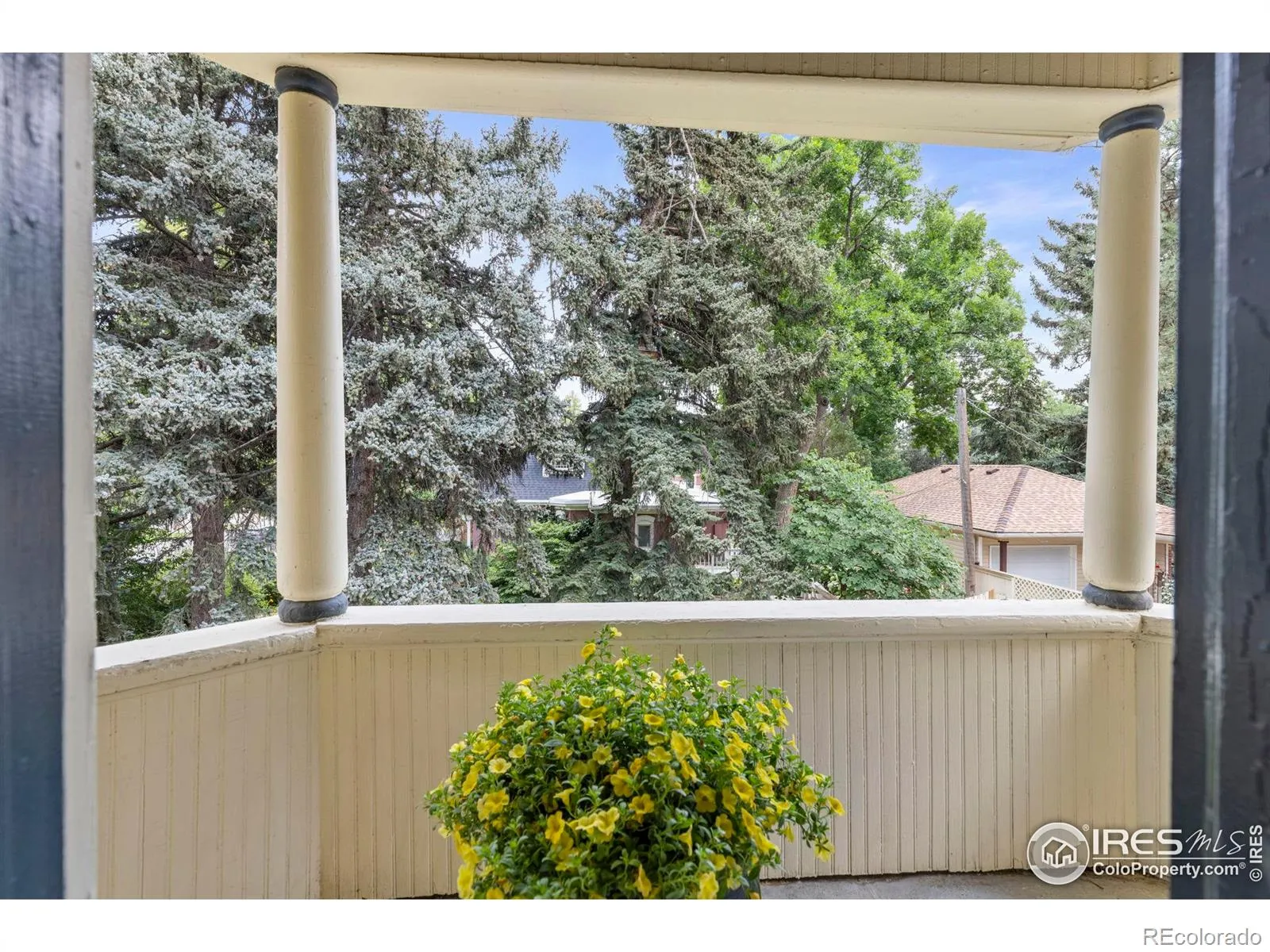 04082026004737 1600 18