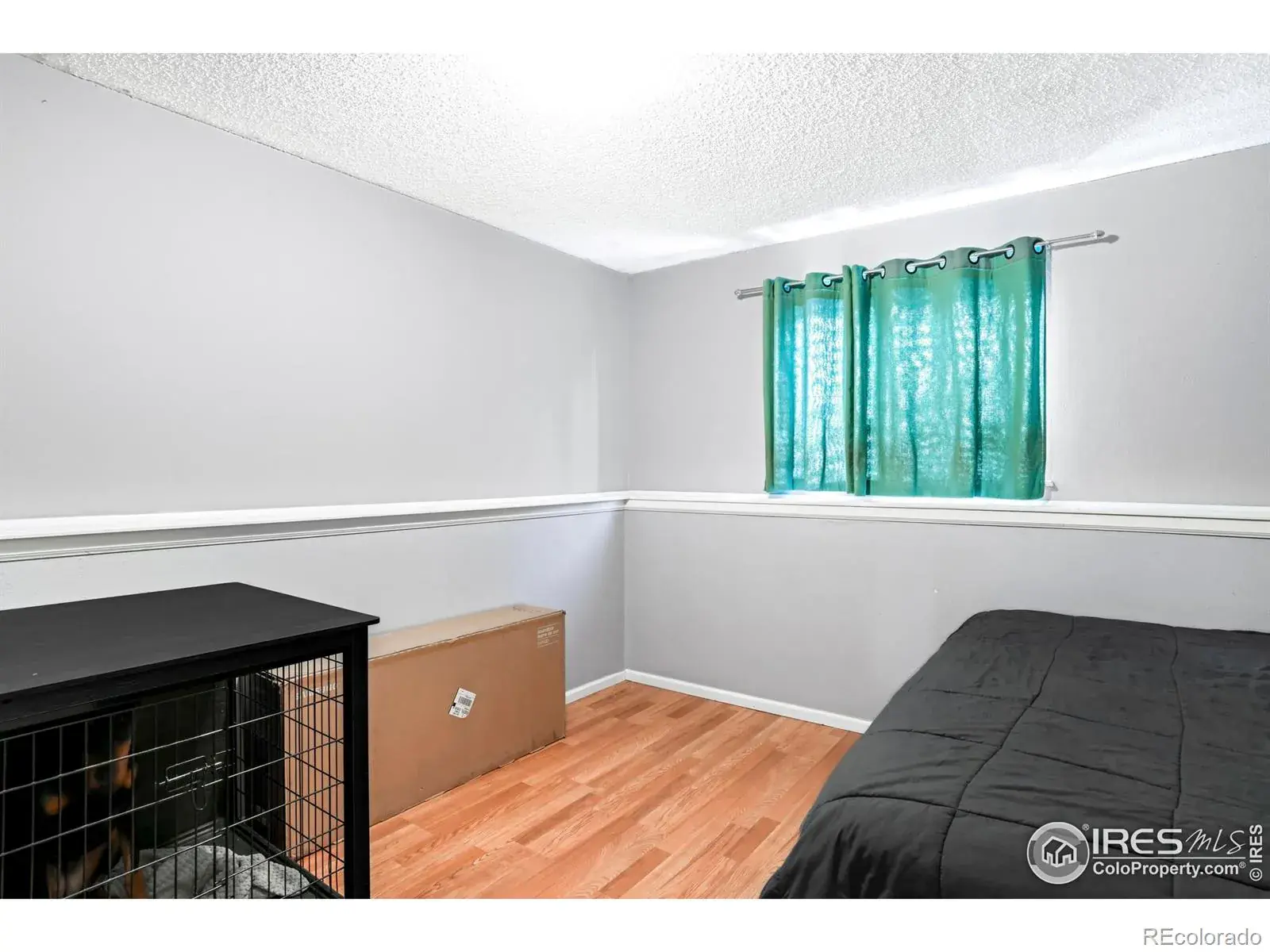 02162026202656 1600 18