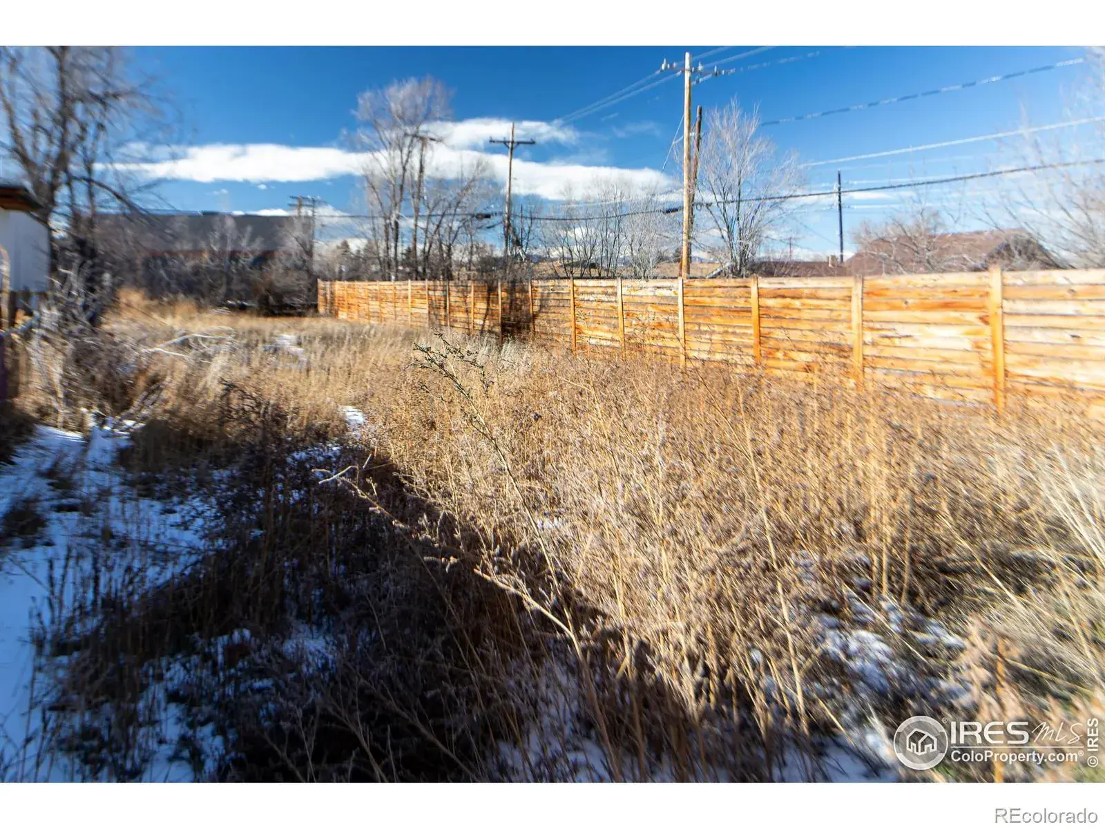 927 S Yates Street #A Denver CO 80219 MLS #RECIR1050666 02012026212234 1600 10