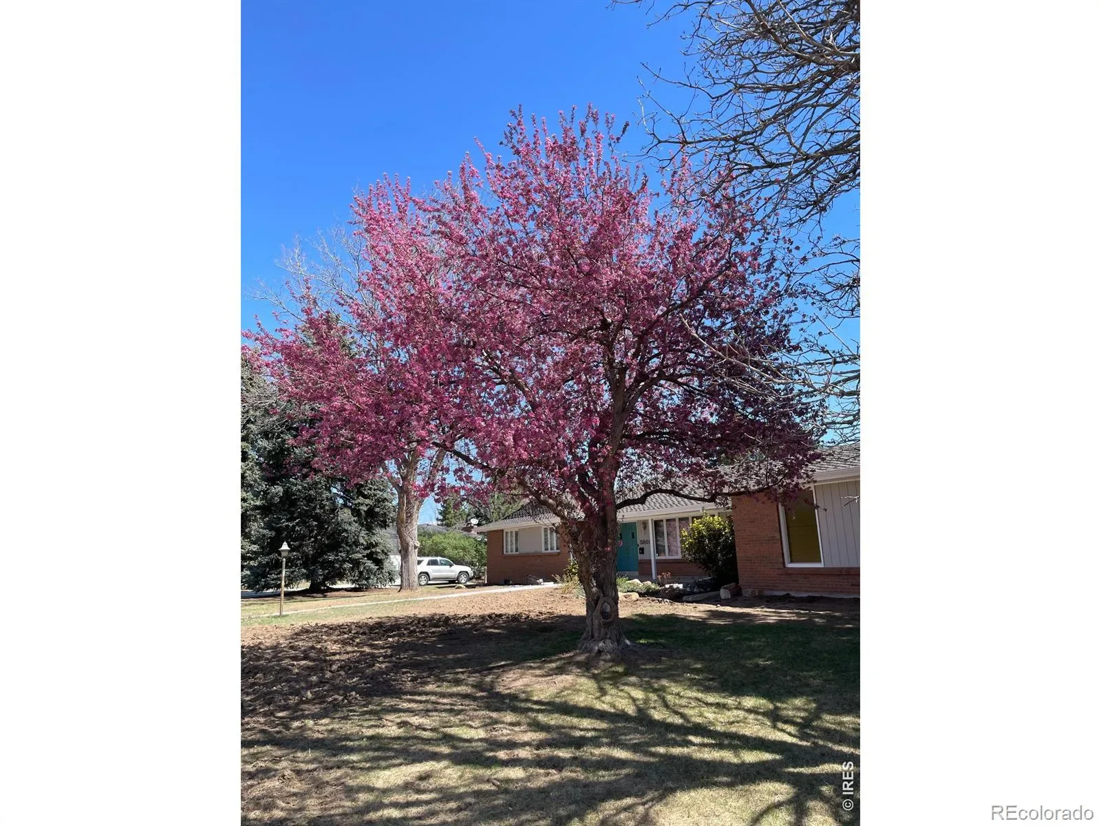 03272026003018 1600 0