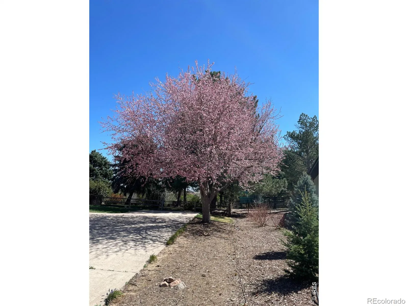 03272026003018 1600 6