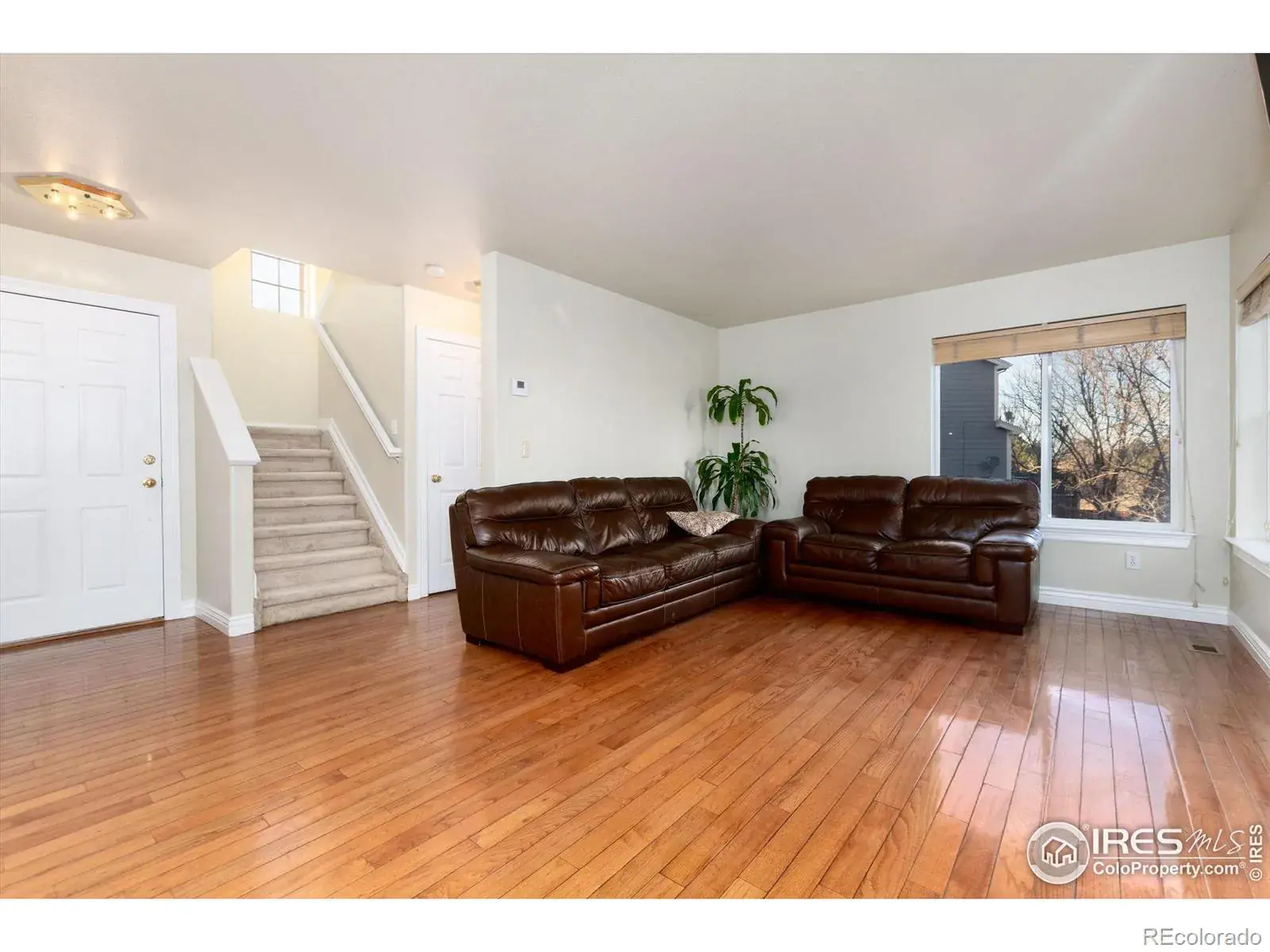 02042026183954 1600 3