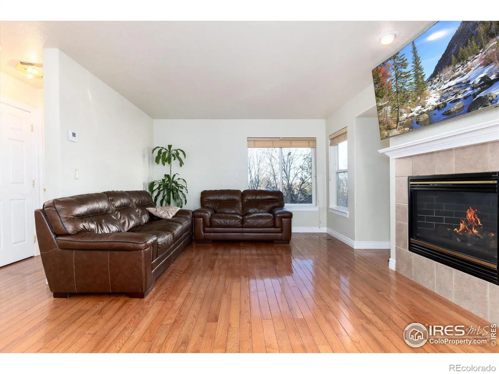 02042026183954 1600 4