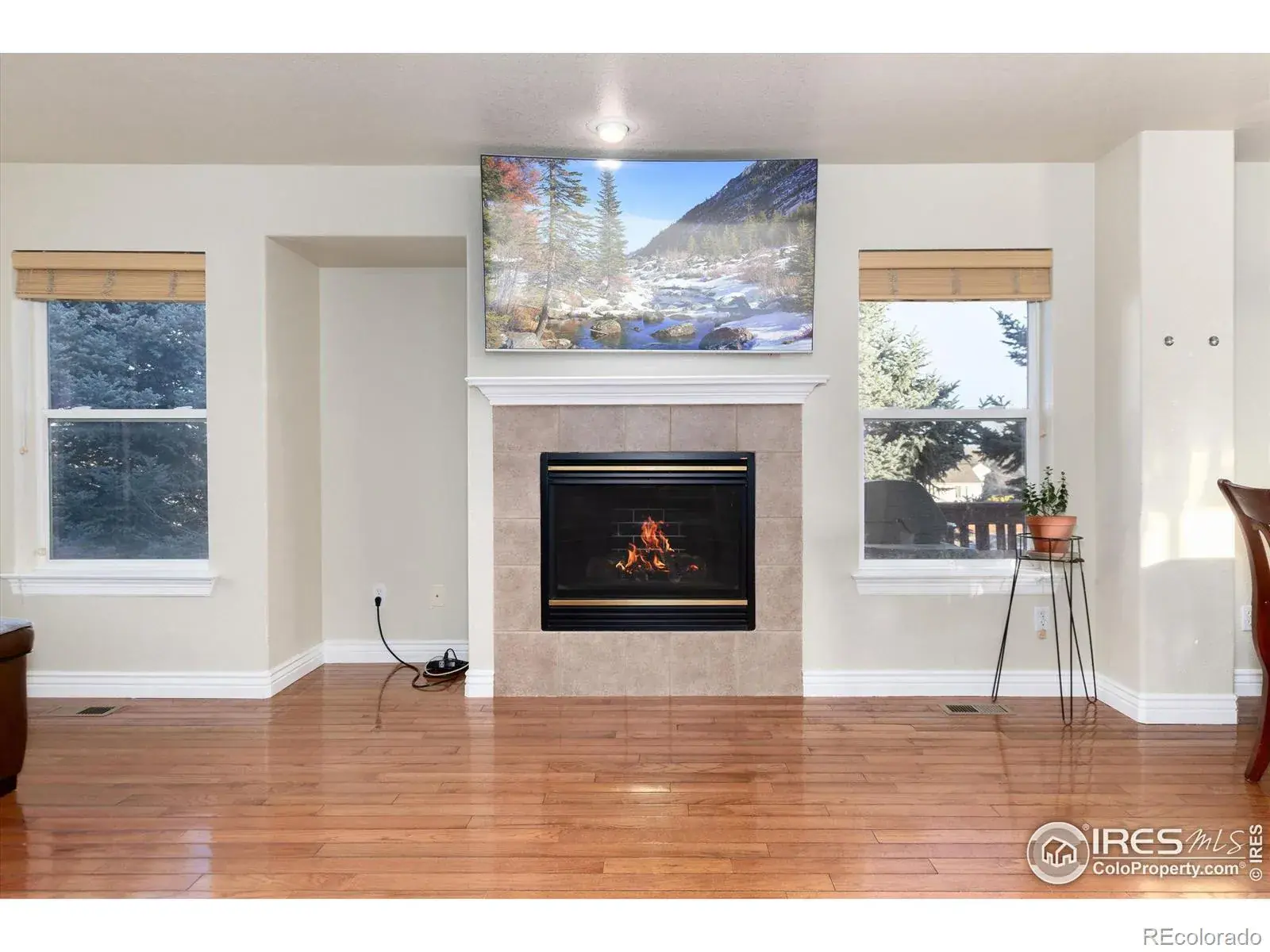 02042026183954 1600 5