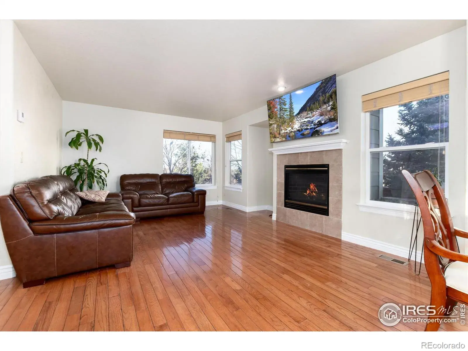 02042026183954 1600 6