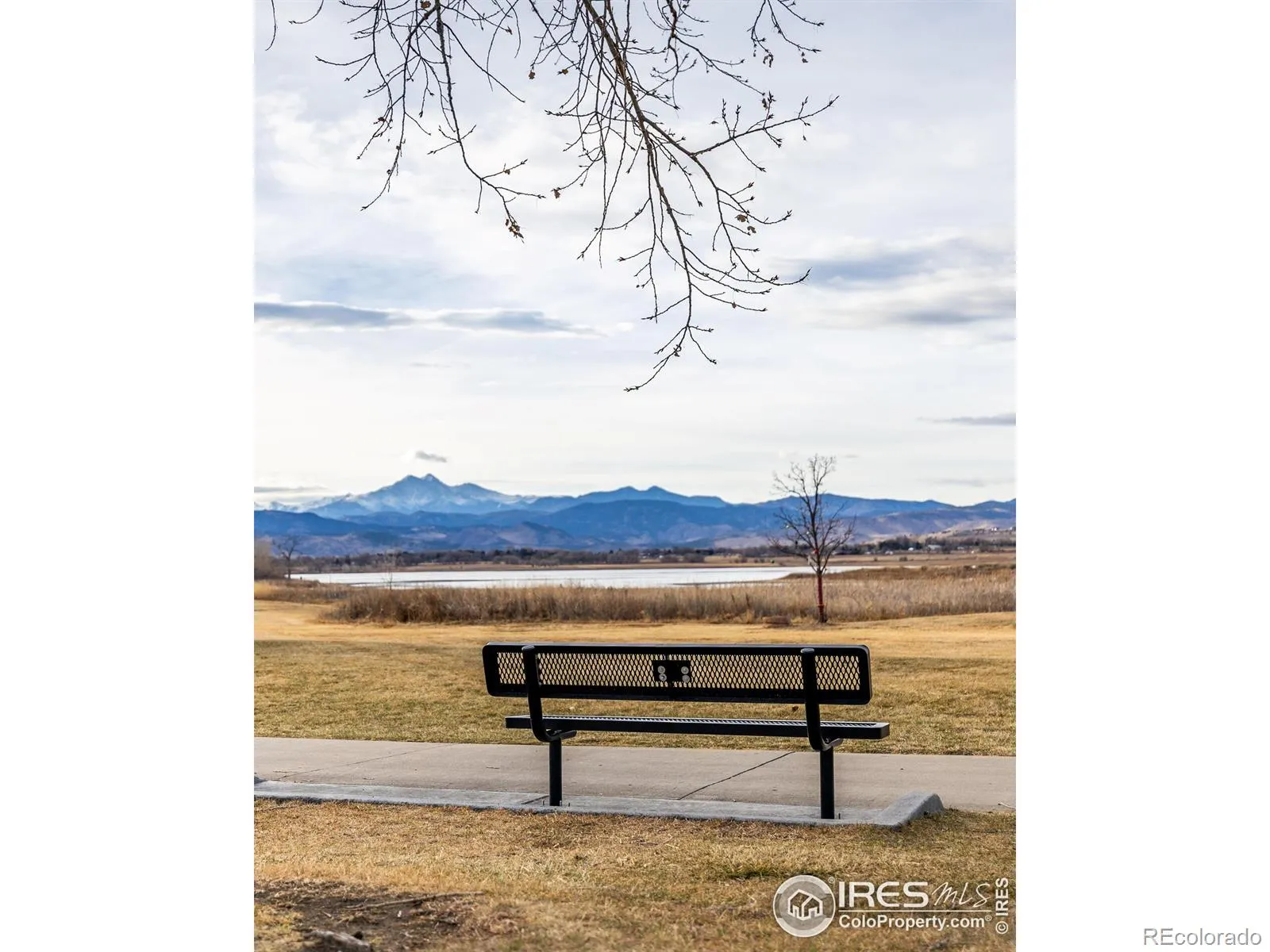 04162026212655 1600 34