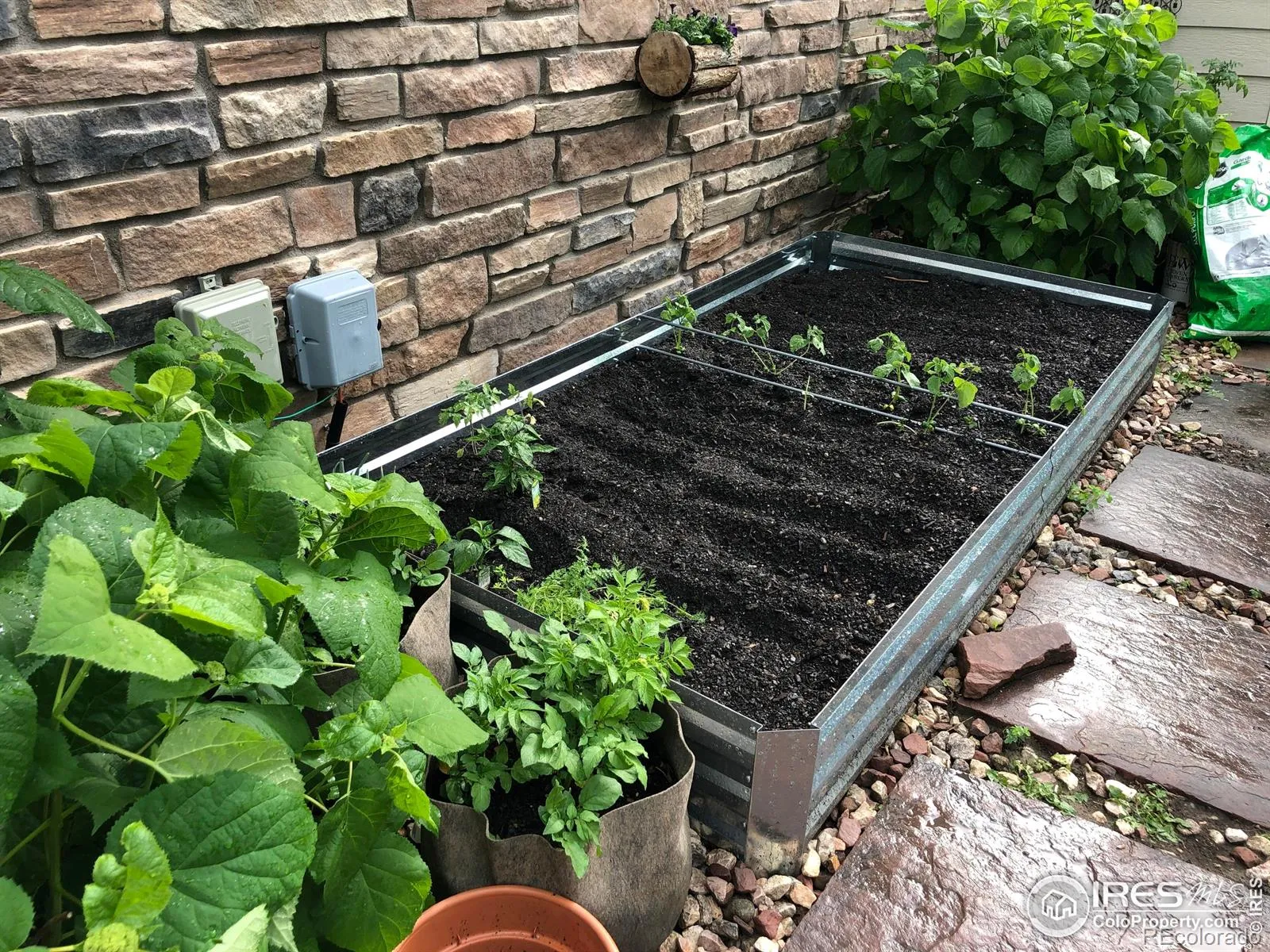 04162026212655 1600 41