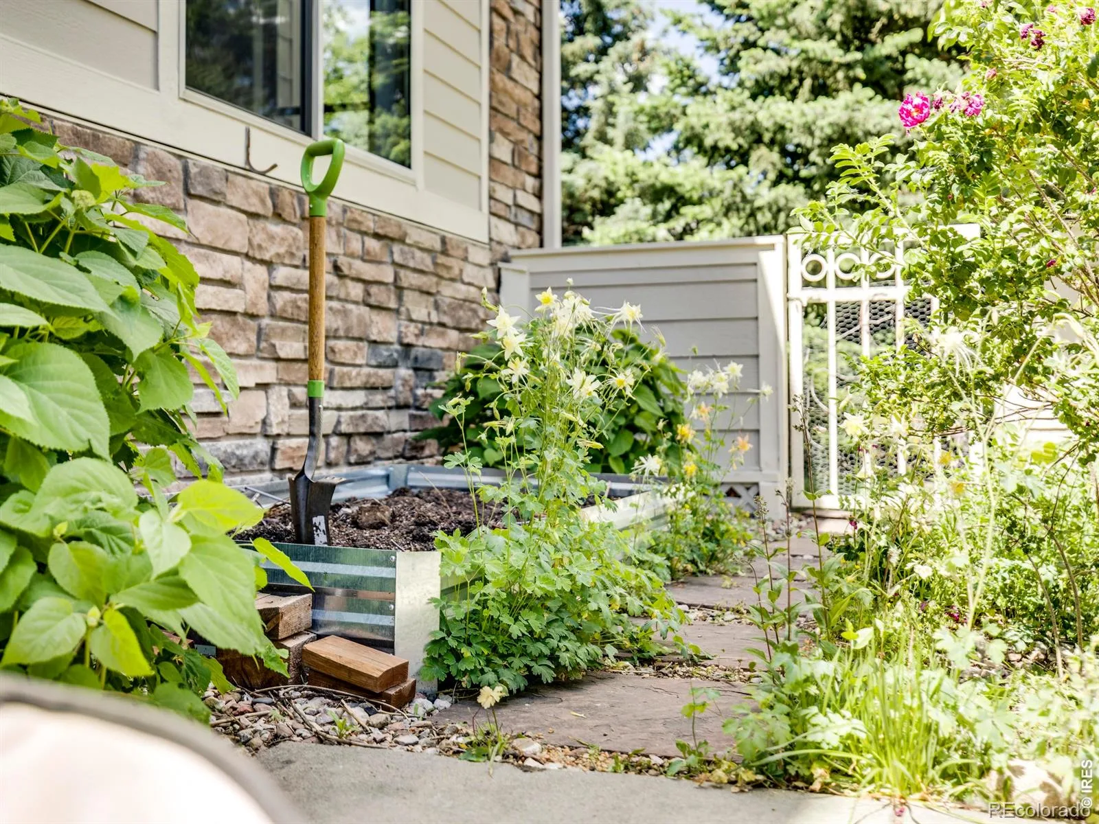 927 Hover Ridge Circle Longmont CO 80501 MLS #RECIR1050951 06092026023429 1600 33