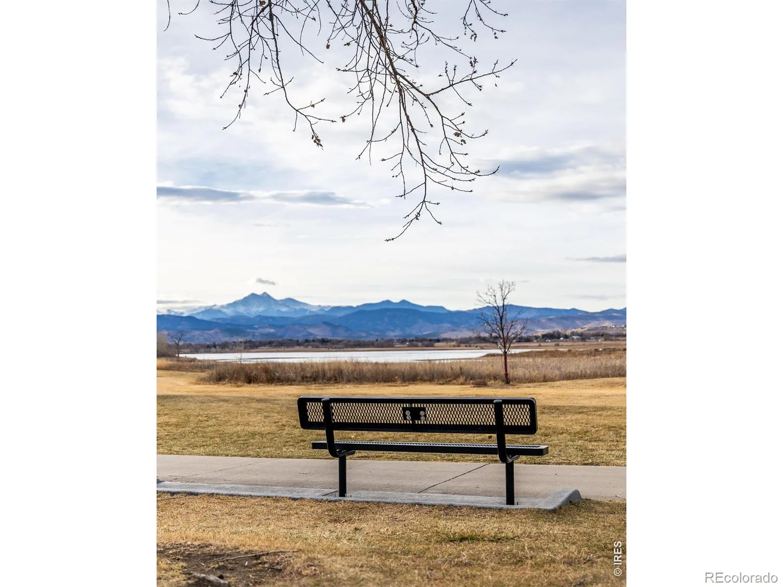 927 Hover Ridge Circle Longmont CO 80501 MLS #RECIR1050951 06092026023429 1600 40