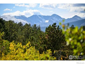 broker reciprocity