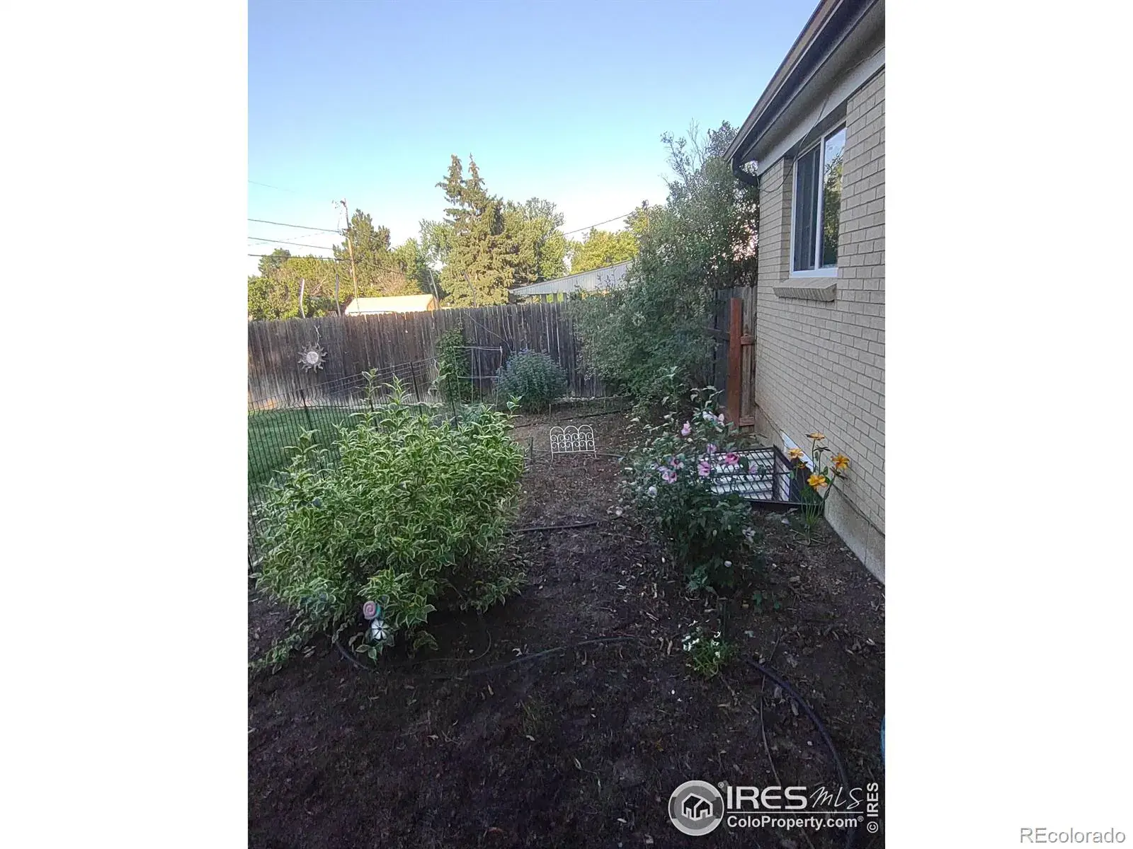 02062026053832 1600 27