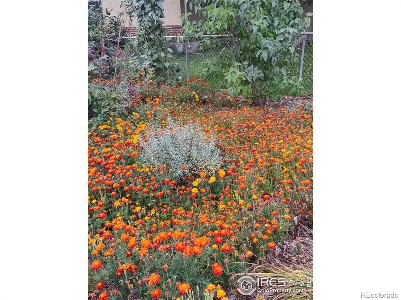 02062026053832 1600 28