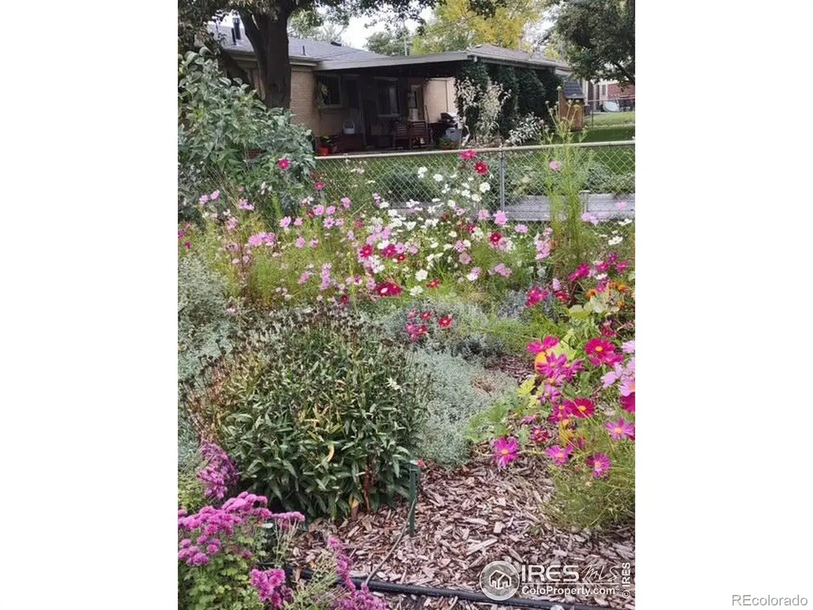 02062026053832 1600 29