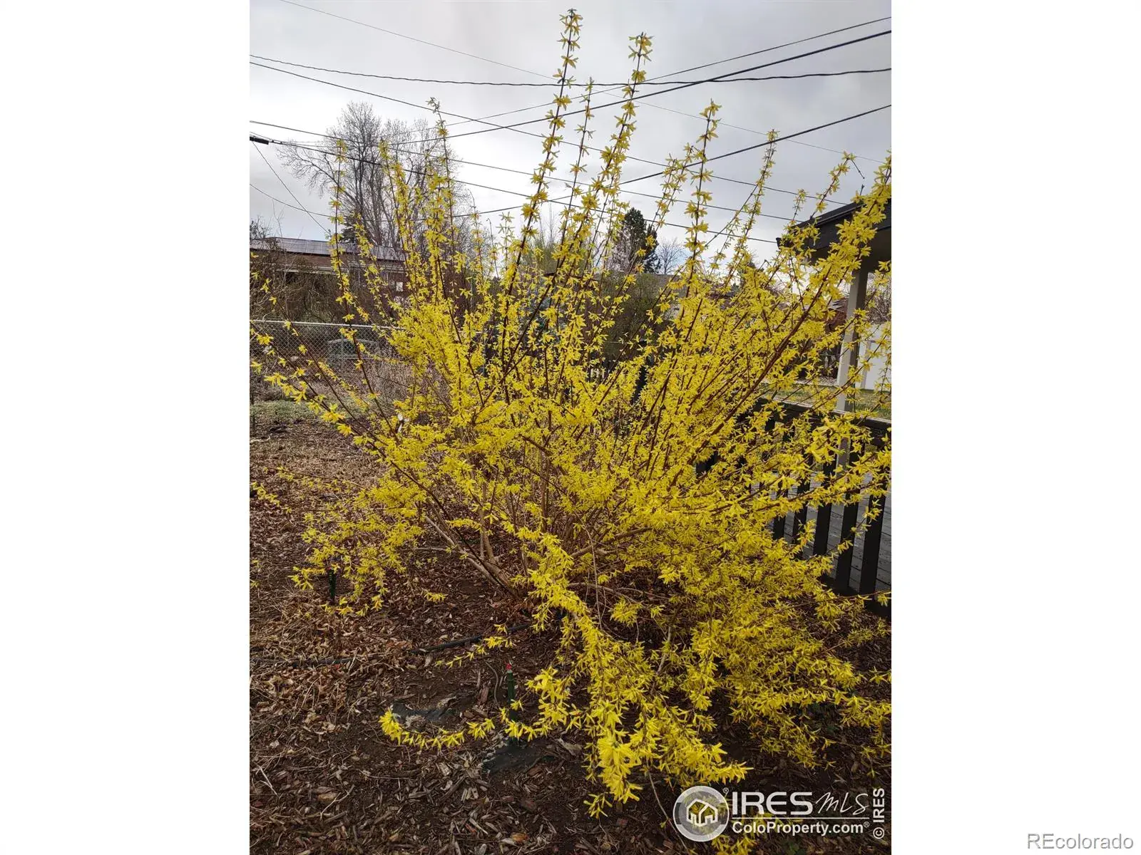 02062026053832 1600 30