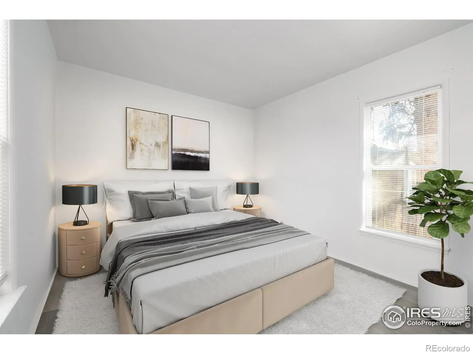 02092026000423 1600 20