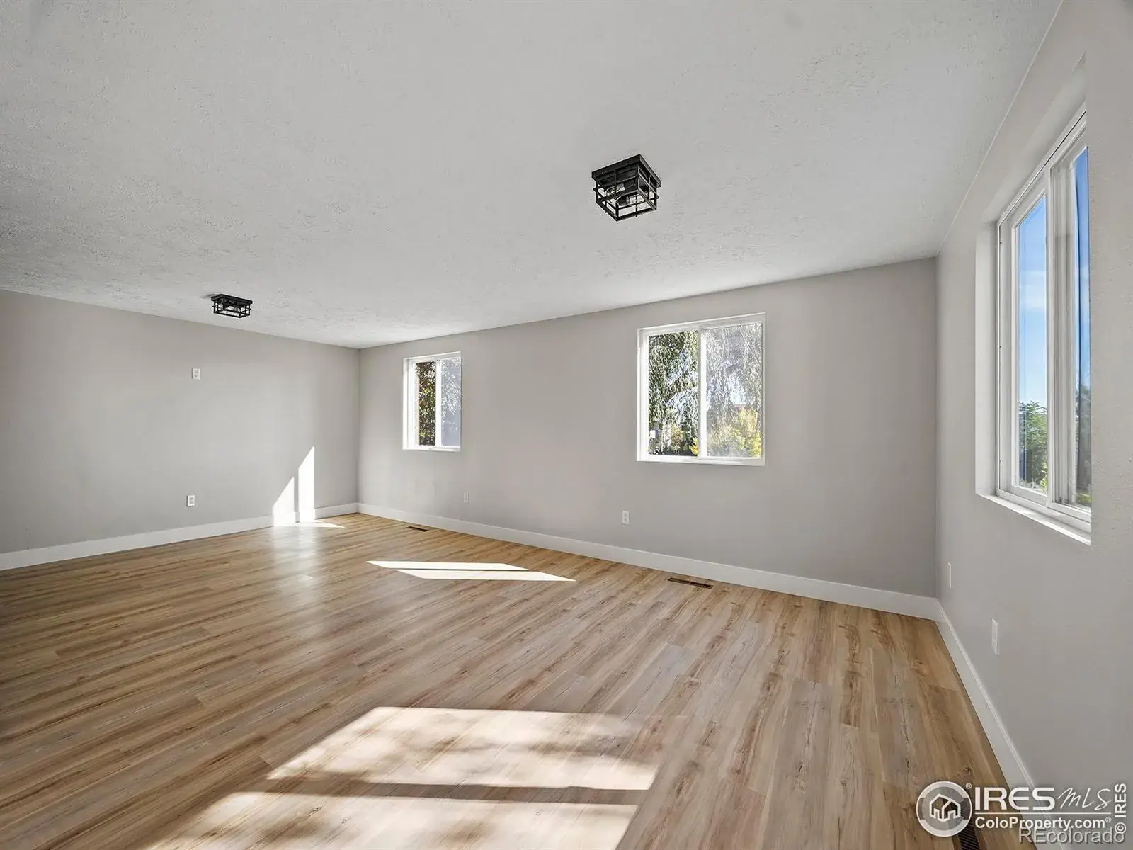 02132026003346 1600 15