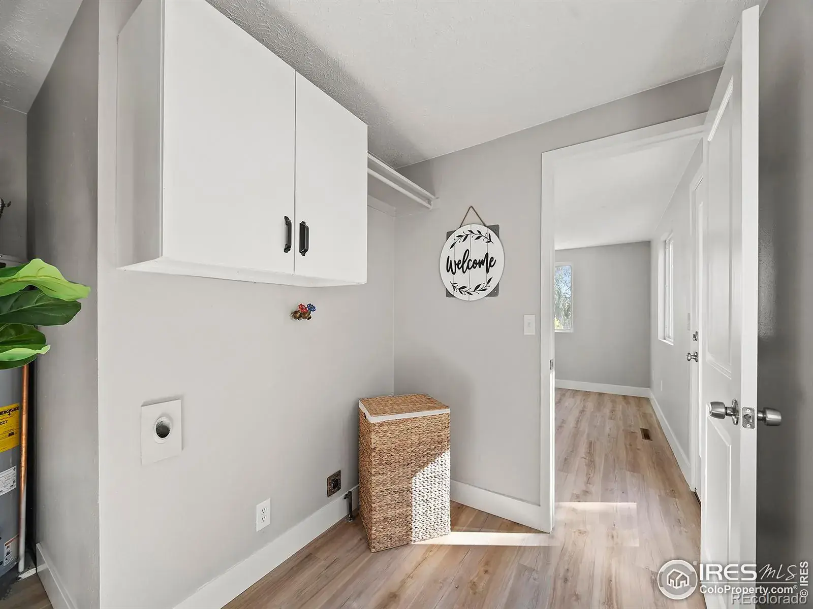 02132026003346 1600 16