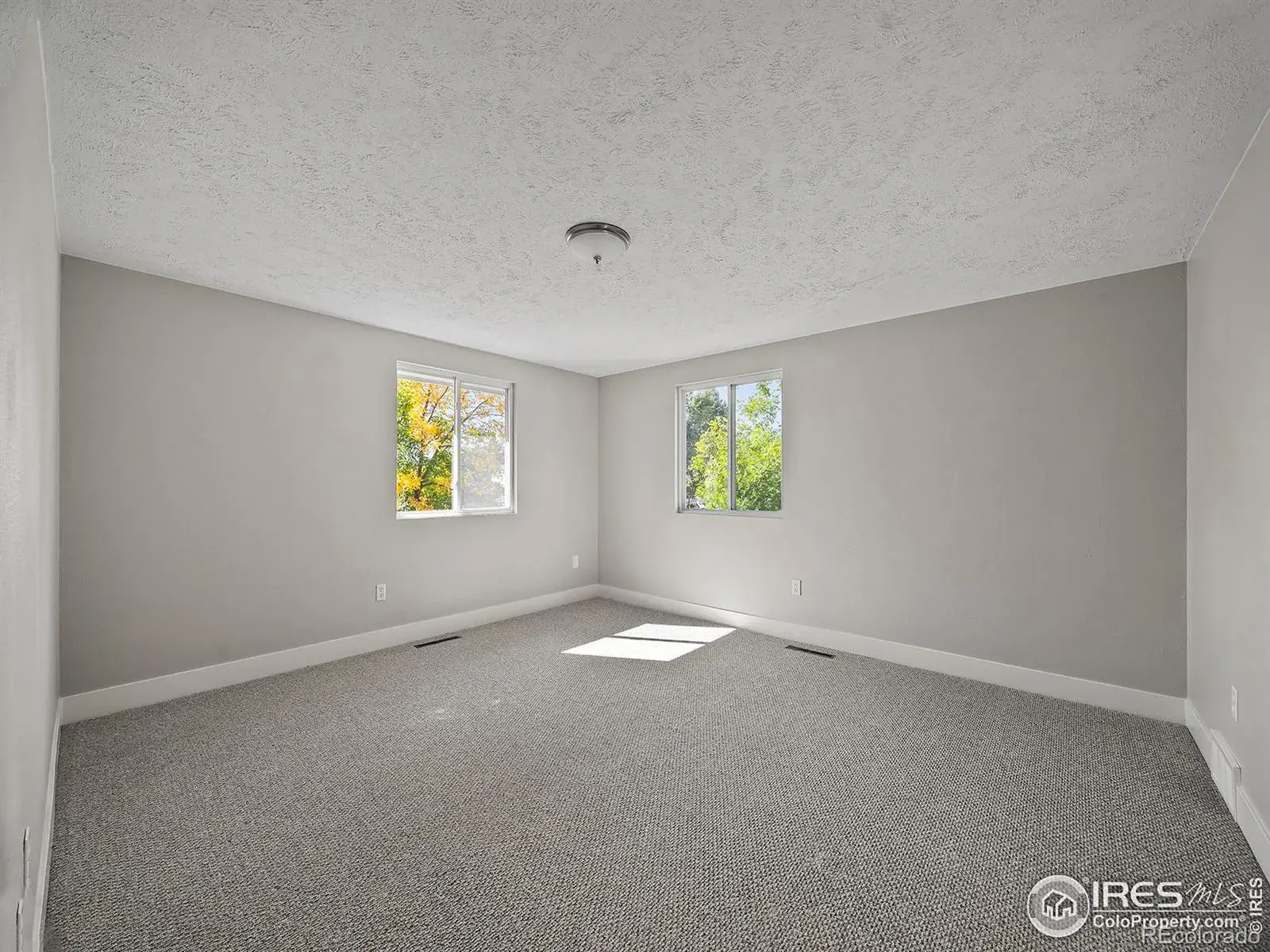 02132026003346 1600 18