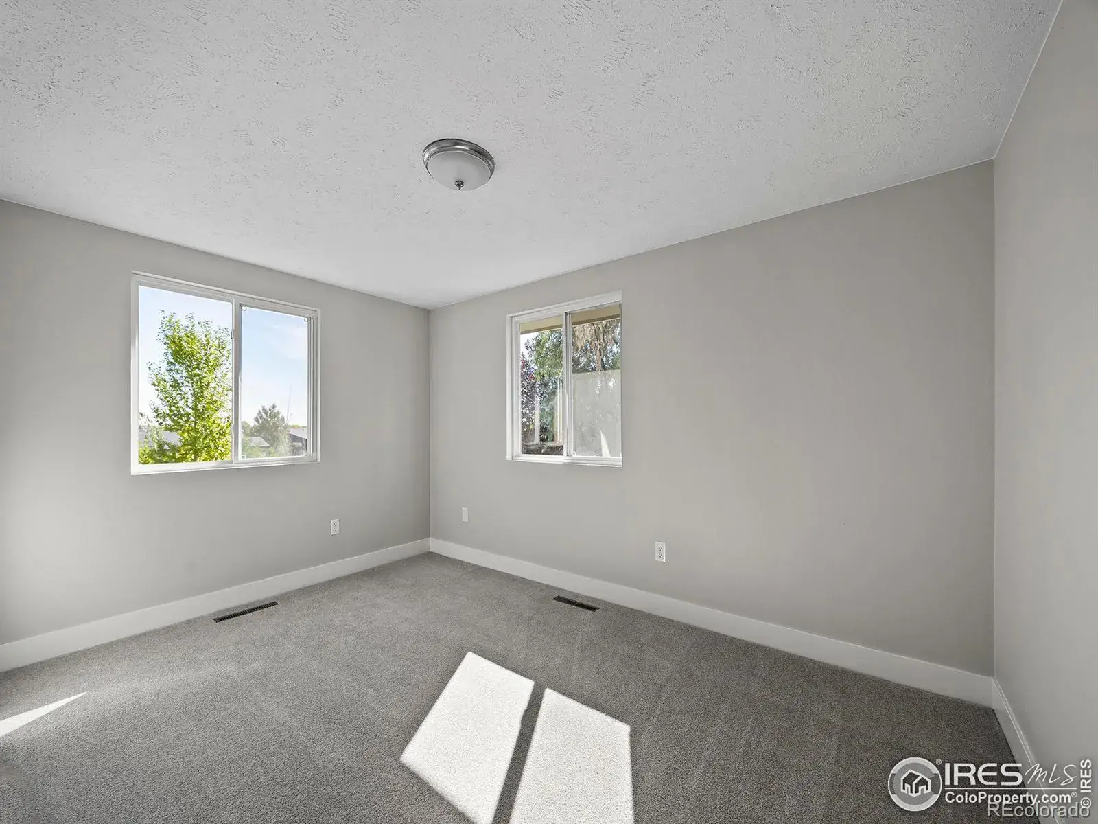 02132026003346 1600 24