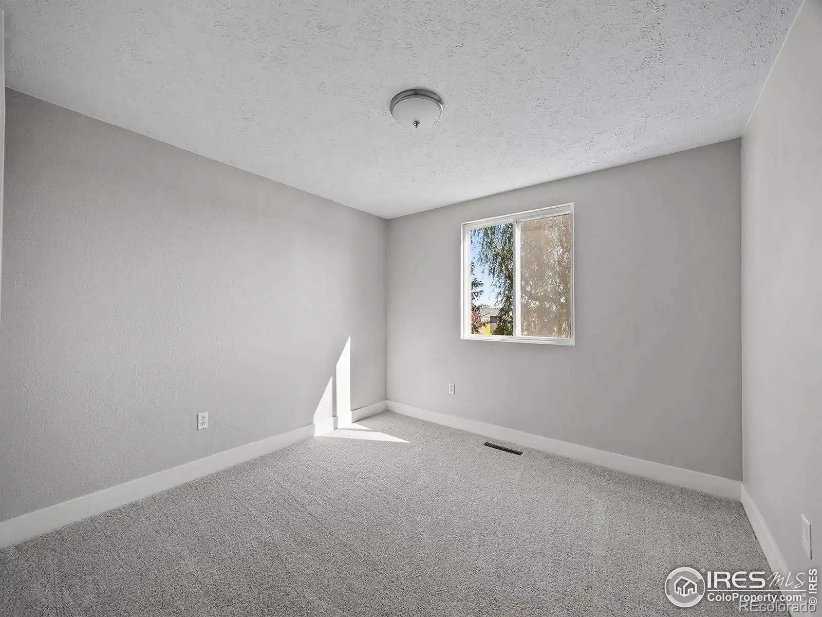 02132026003346 1600 25