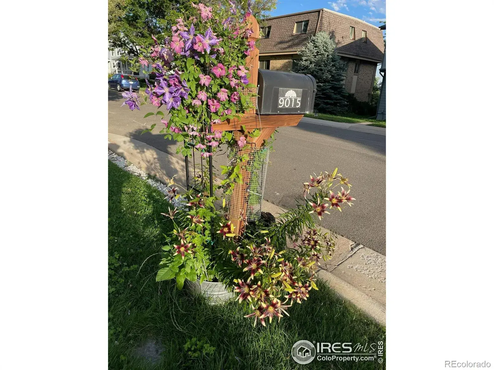 02252026002624 1600 15