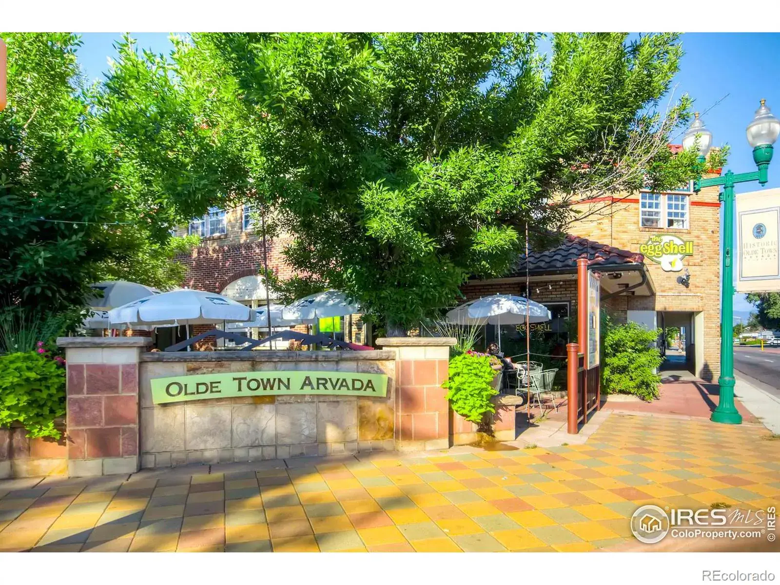 02252026002624 1600 18