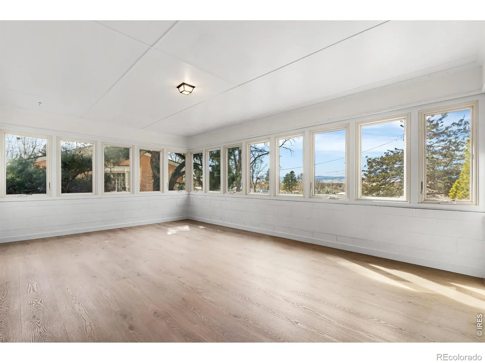 03052026002650 1600 17