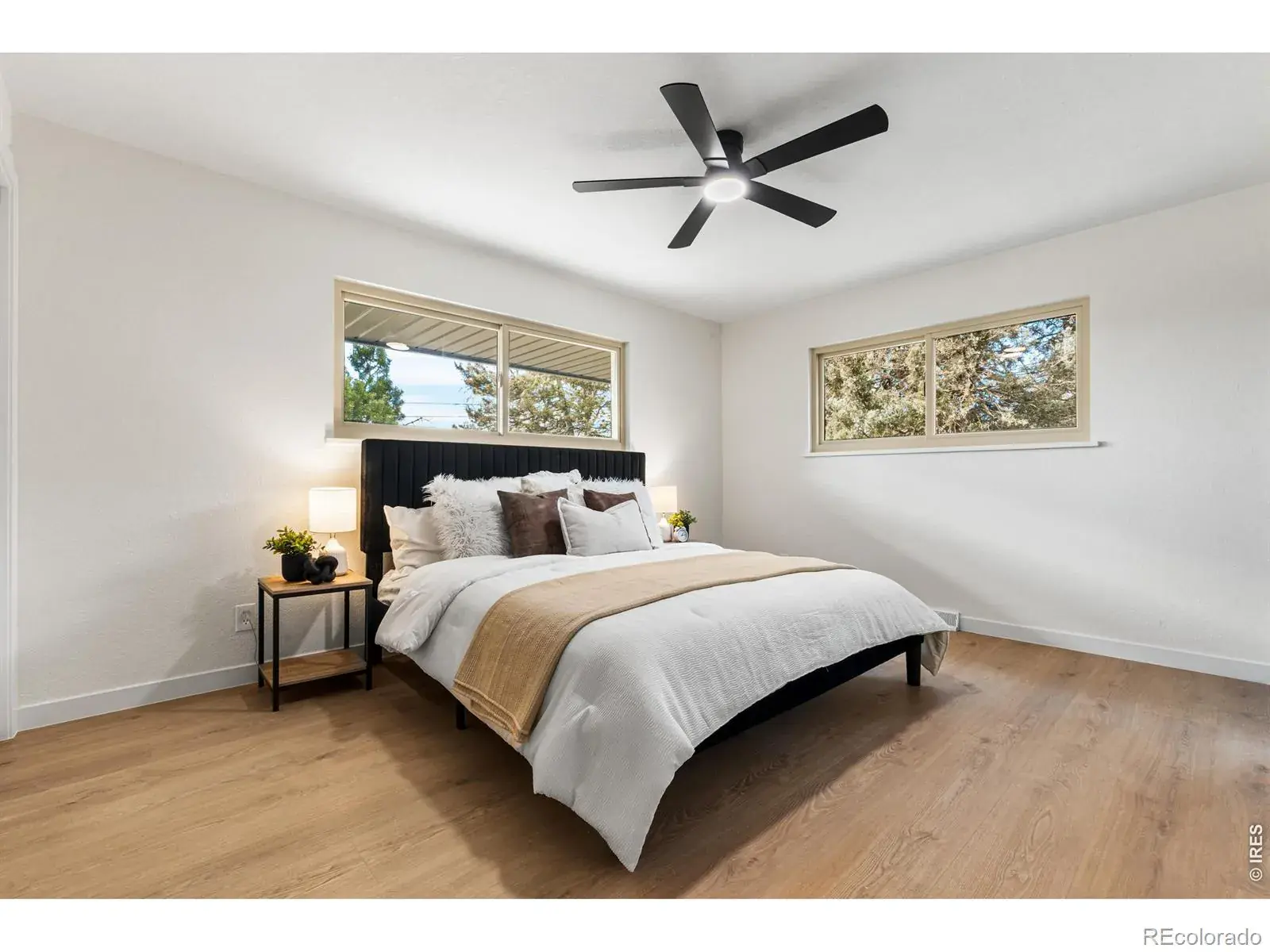 03052026002650 1600 18