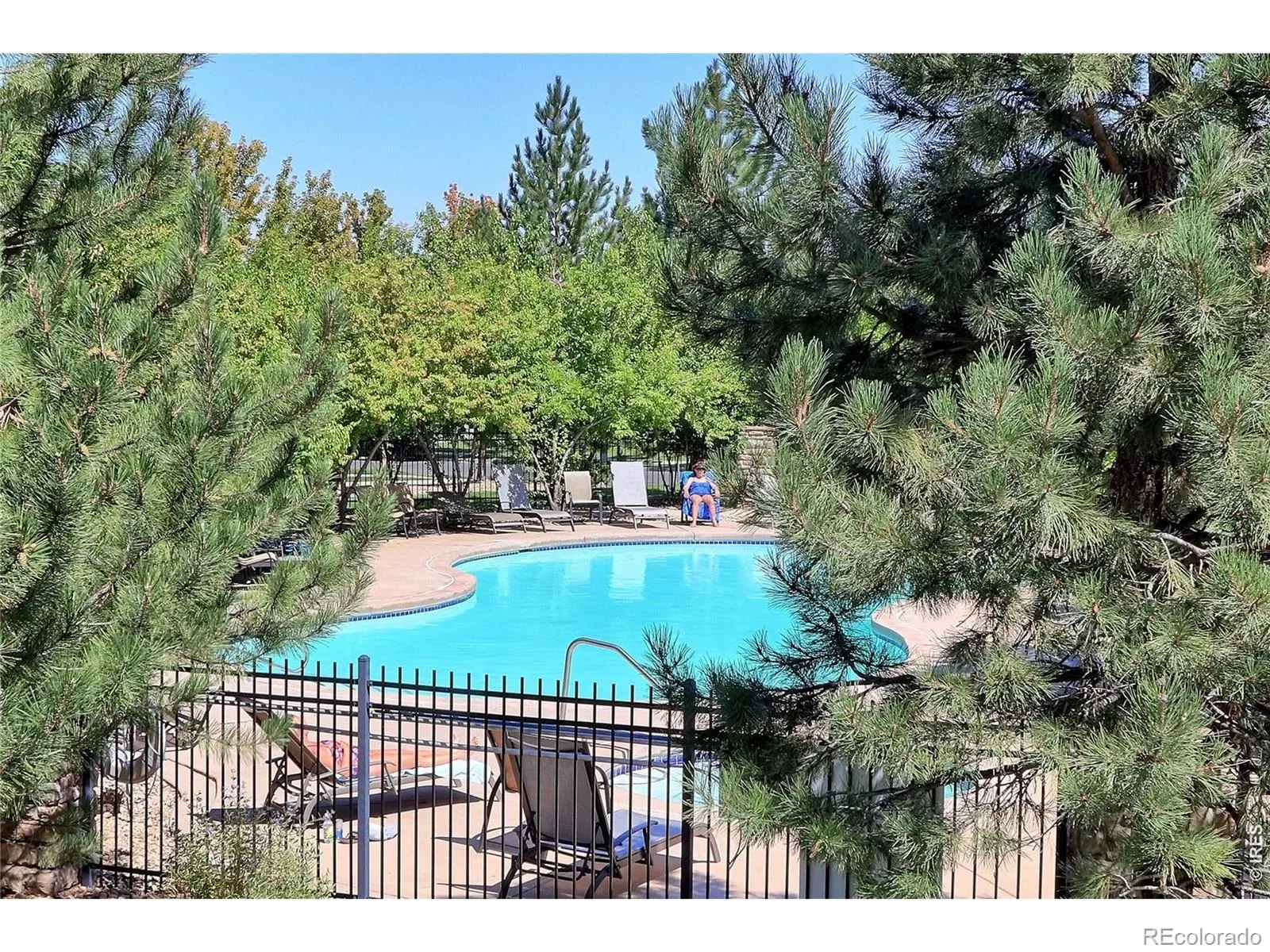 11207 Osage Circle #B Northglenn CO 80234 | MLS #RECIR1052449 03262026234743 1600 32