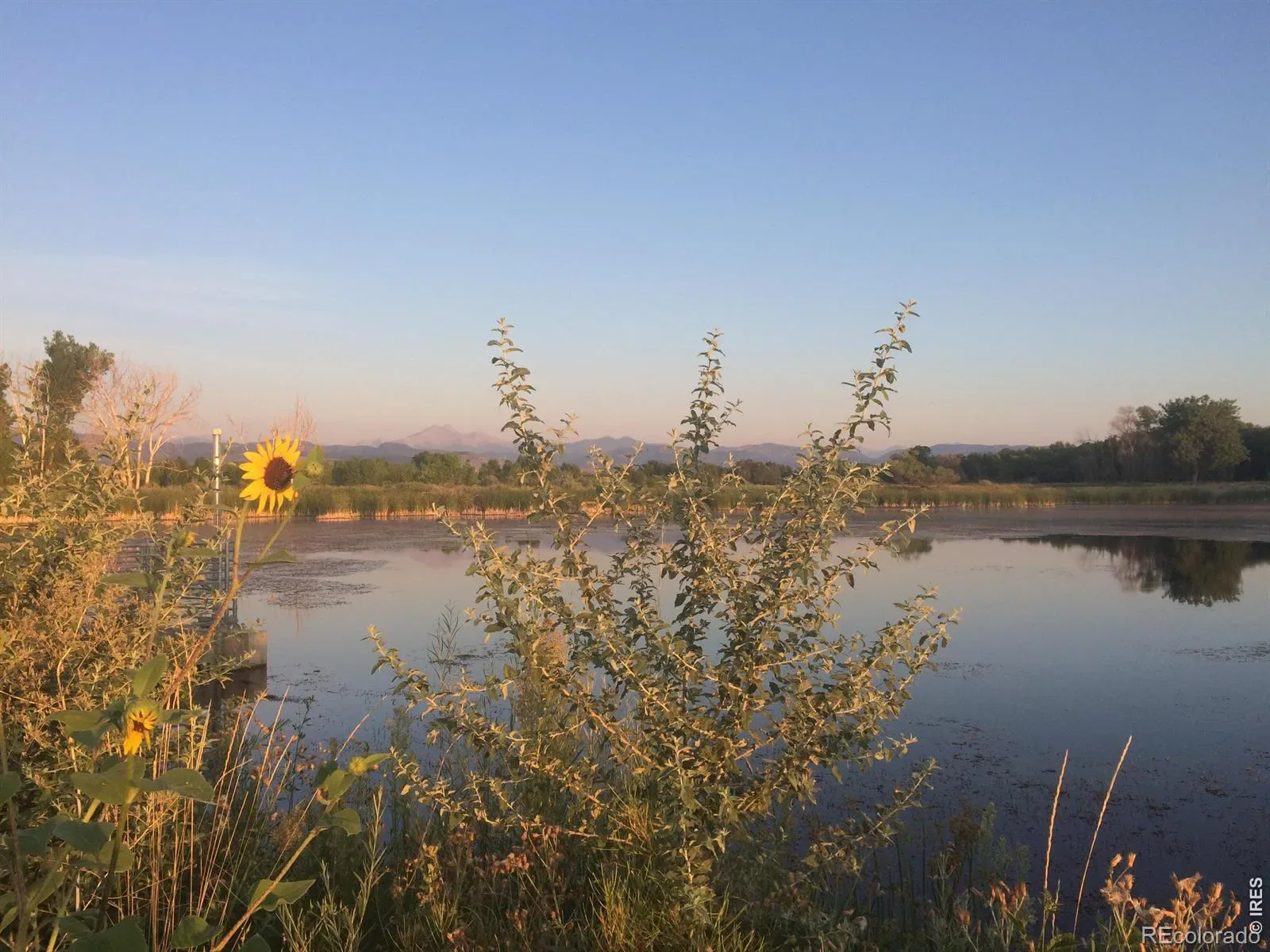 03182026212112 1600 45