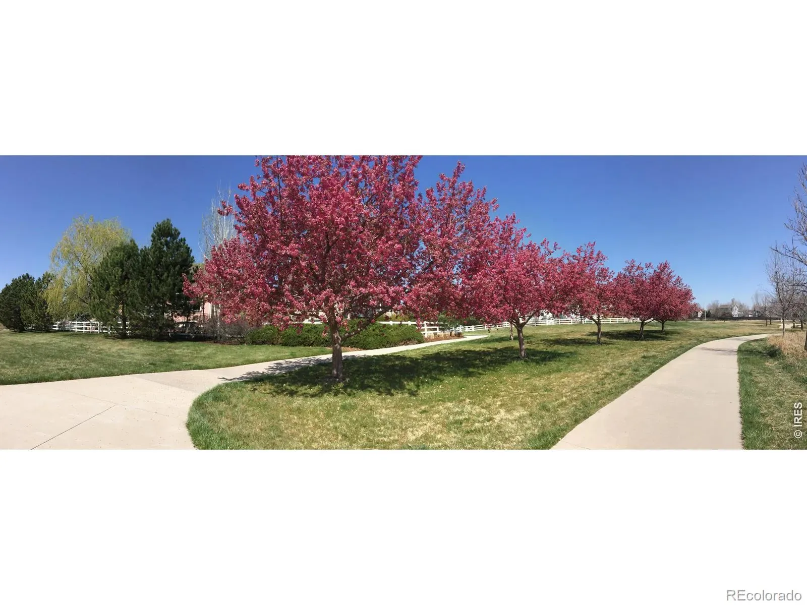 03182026212112 1600 46