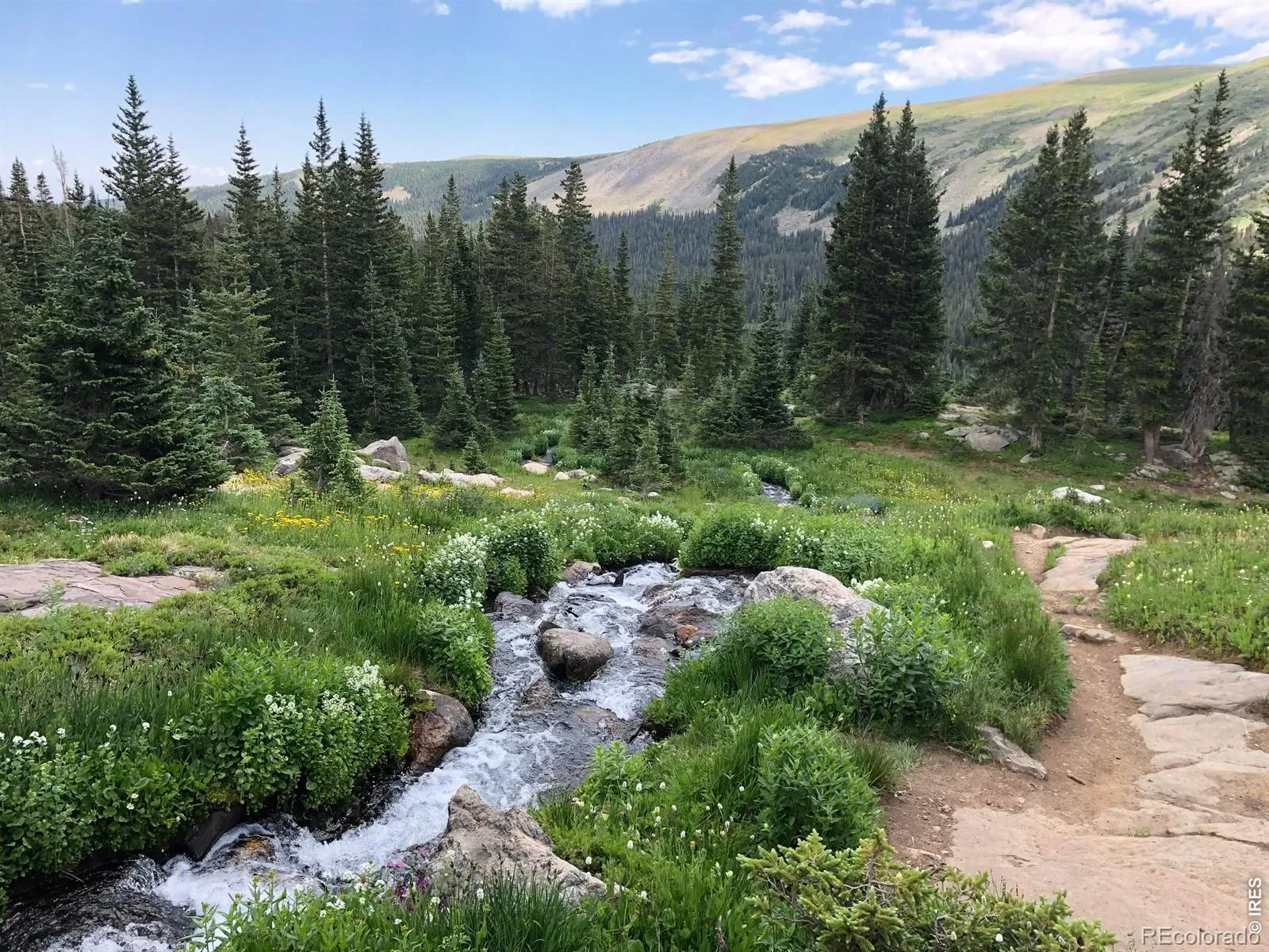 03182026212112 1600 49